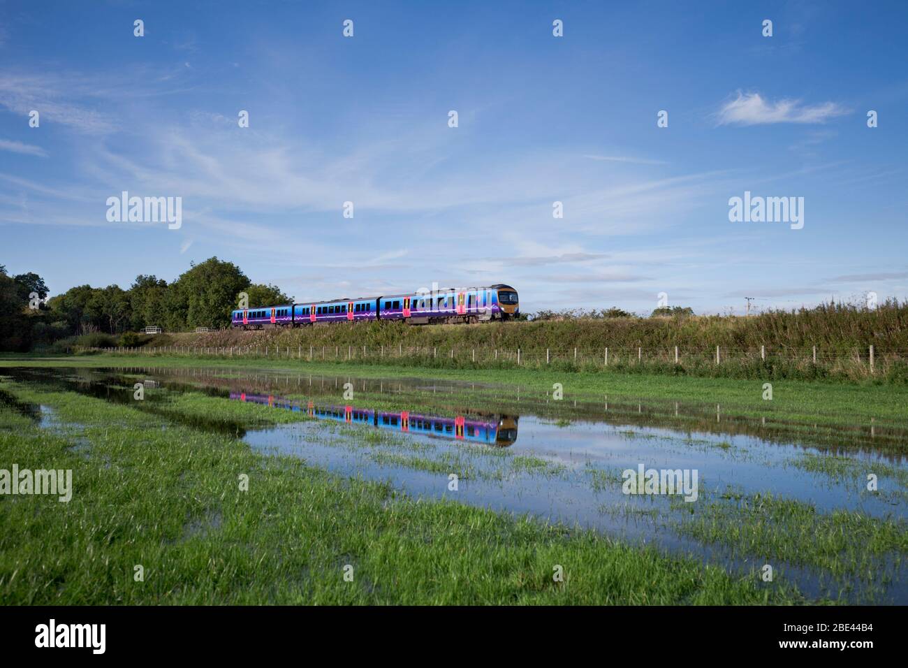 Erster TransPennine Express Siemens Desiro-Zug der Baureihe 185 spiegelte sich in einem überfluteten Feld wider Stockfoto