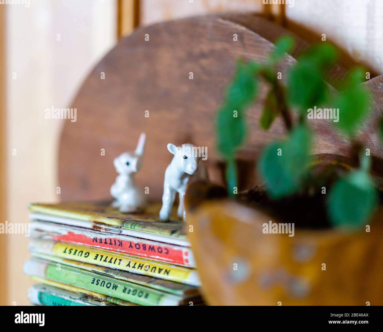 Umgedreht belaubte lila Zimmerpflanze spiegelt sich in einer Kristallkugel umgeben von grünen Zimmerpflanze und Kinderbücher Stockfoto