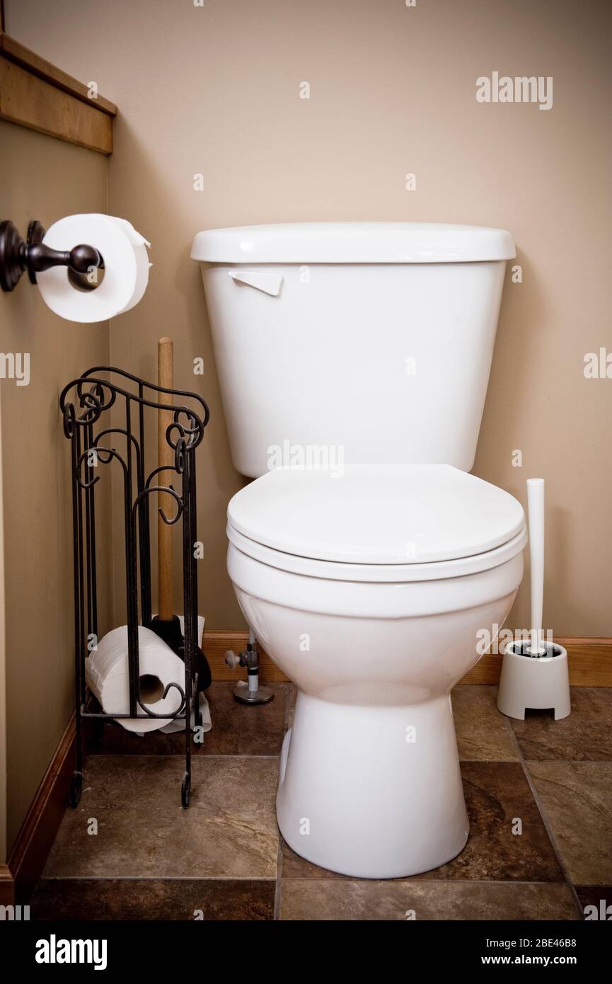Aggressive Toilette / man glaubt, es sitzt nur dort / und dann bekommt man es Stockfoto