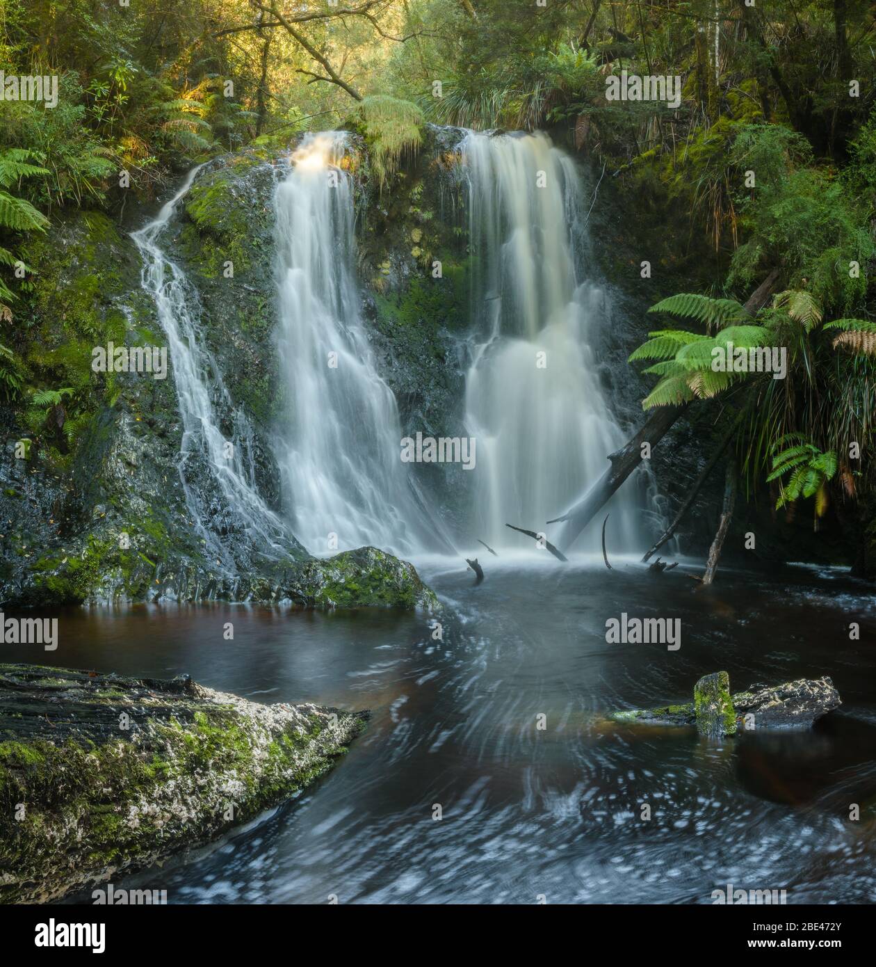 Sehen Sie sich die enge Schlucht an, die zur berühmten Vorhangkaskade an den Guide Falls an der Nordwestküste Tasmaniens führt. Stockfoto