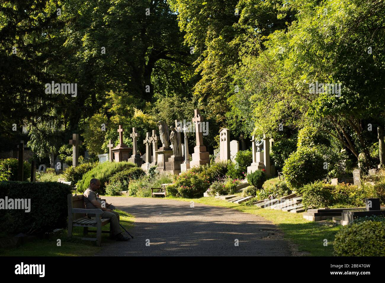 An einem Sommertag scheint Sonnenlicht auf Grabsteinen entlang einer Gasse am Highgate Cemetery in London. Stockfoto