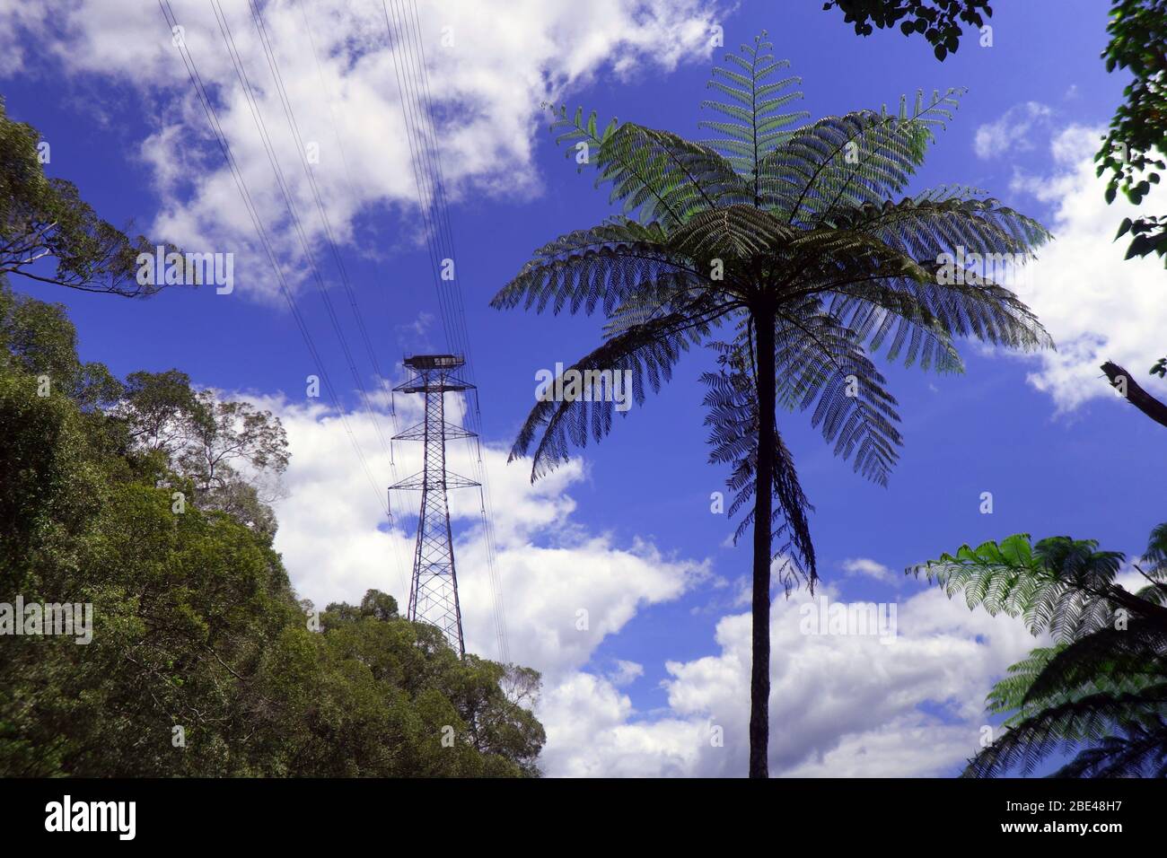 Hubschrauberlandeplatz auf dem elektrischen Pylon, der Wasserkraft über tropischen Regenwald überträgt, Lake Morris, Copperlode Dam, Cairns, Queensland, A Stockfoto