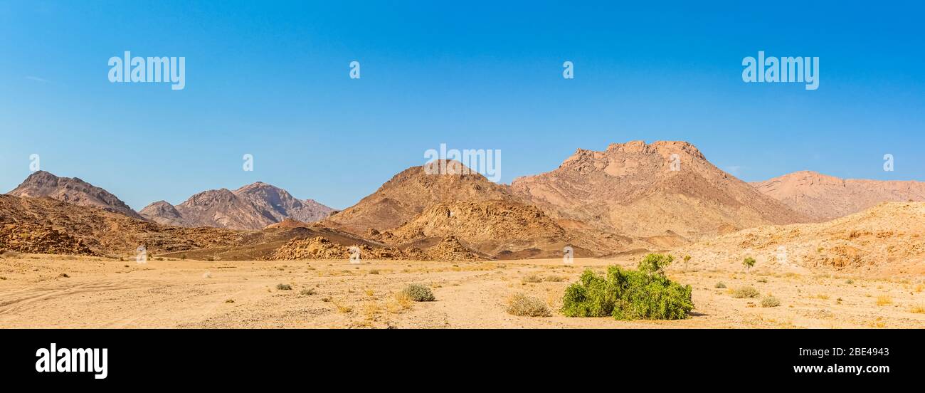 Landschaft rund um Brandberg Mountain, Damaraland; Kunene Region, Namibia Stockfoto