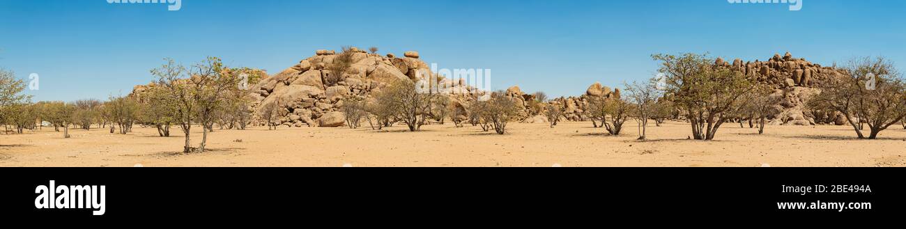 Auf dem Weg zum Brandberg Mountain, Damaraland; Kunene Region, Namibia Stockfoto