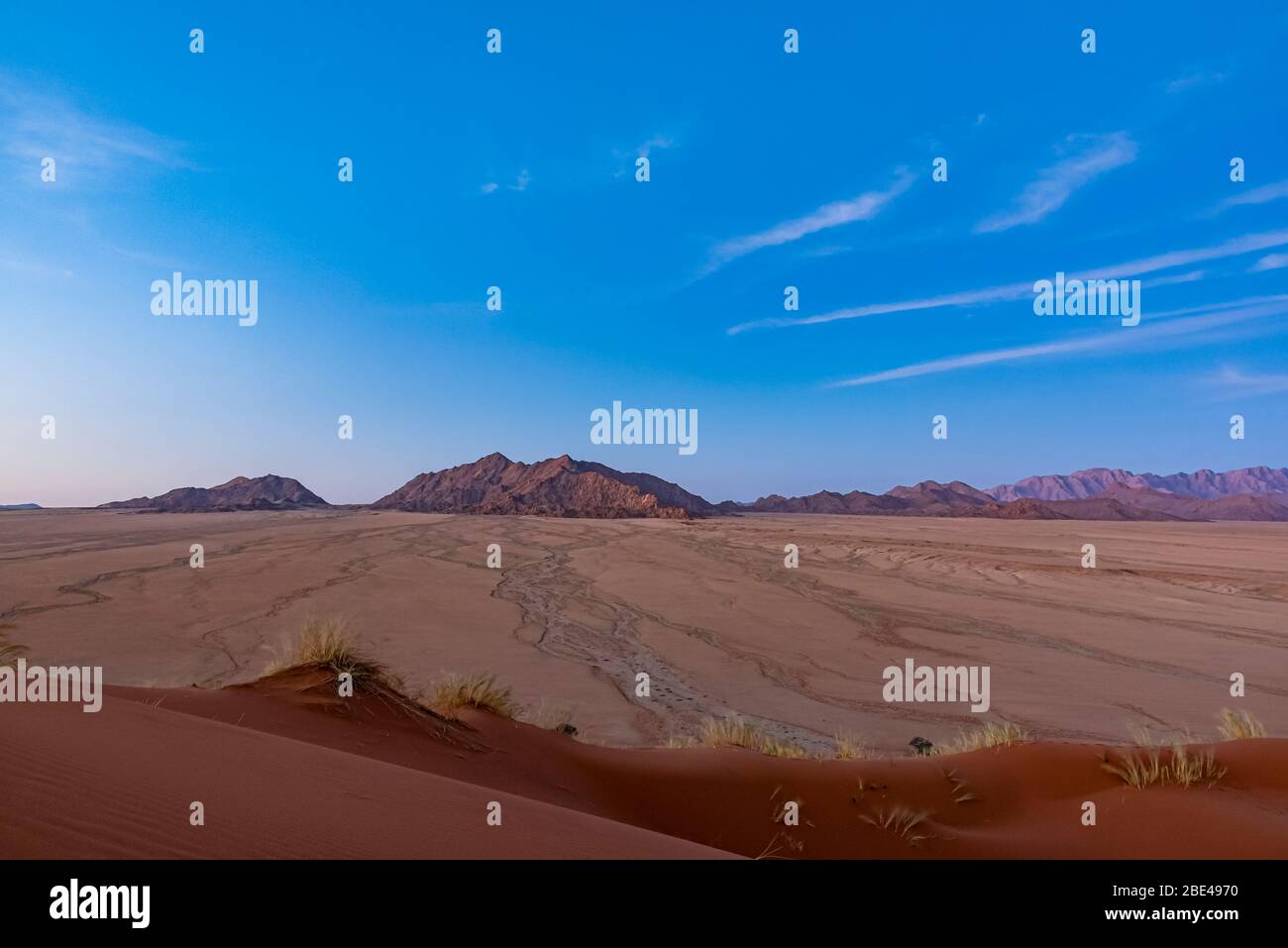 Elim Düne, Namib Wüste; Sesriem, Namibia Stockfoto