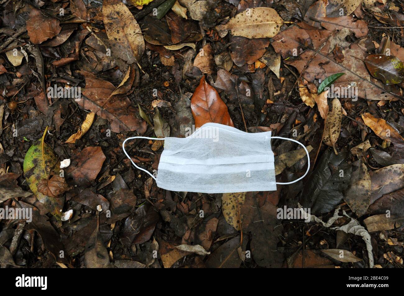 Einweg-OP-Maske zur Vorbeugung von Coronavirus, mit dem Hintergrund von trockenen Blättern aus dem Wald. Stockfoto