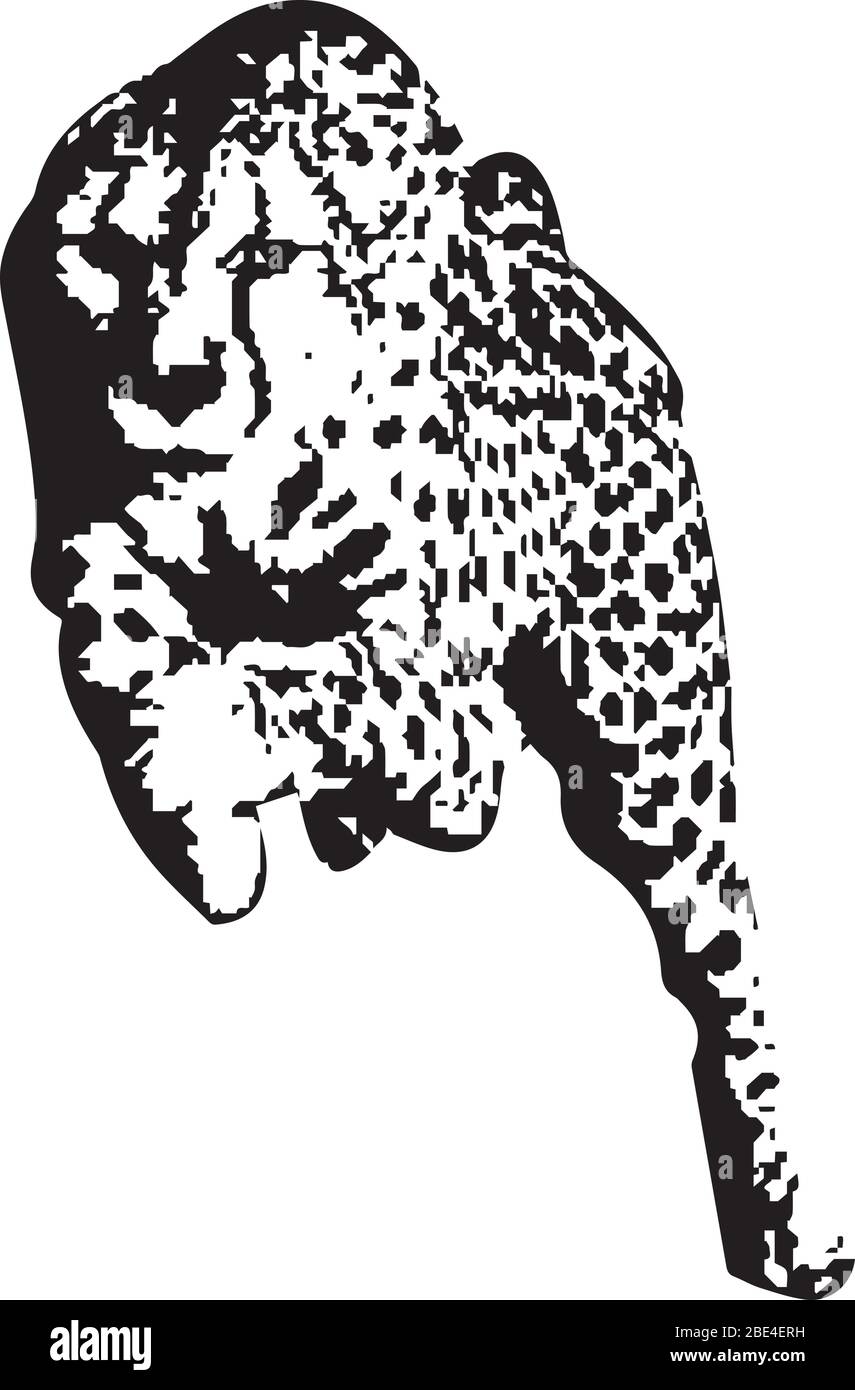 Illustration des laufenden Tigers mit schwarz-weißer Textur Stock Vektor