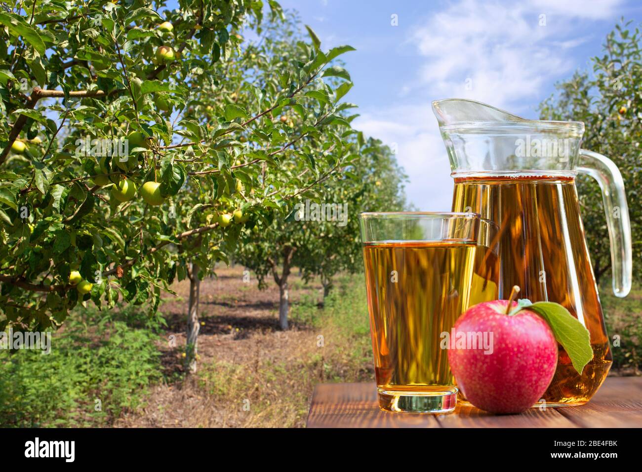 apfelsaft in Glas und Kanne Stockfoto
