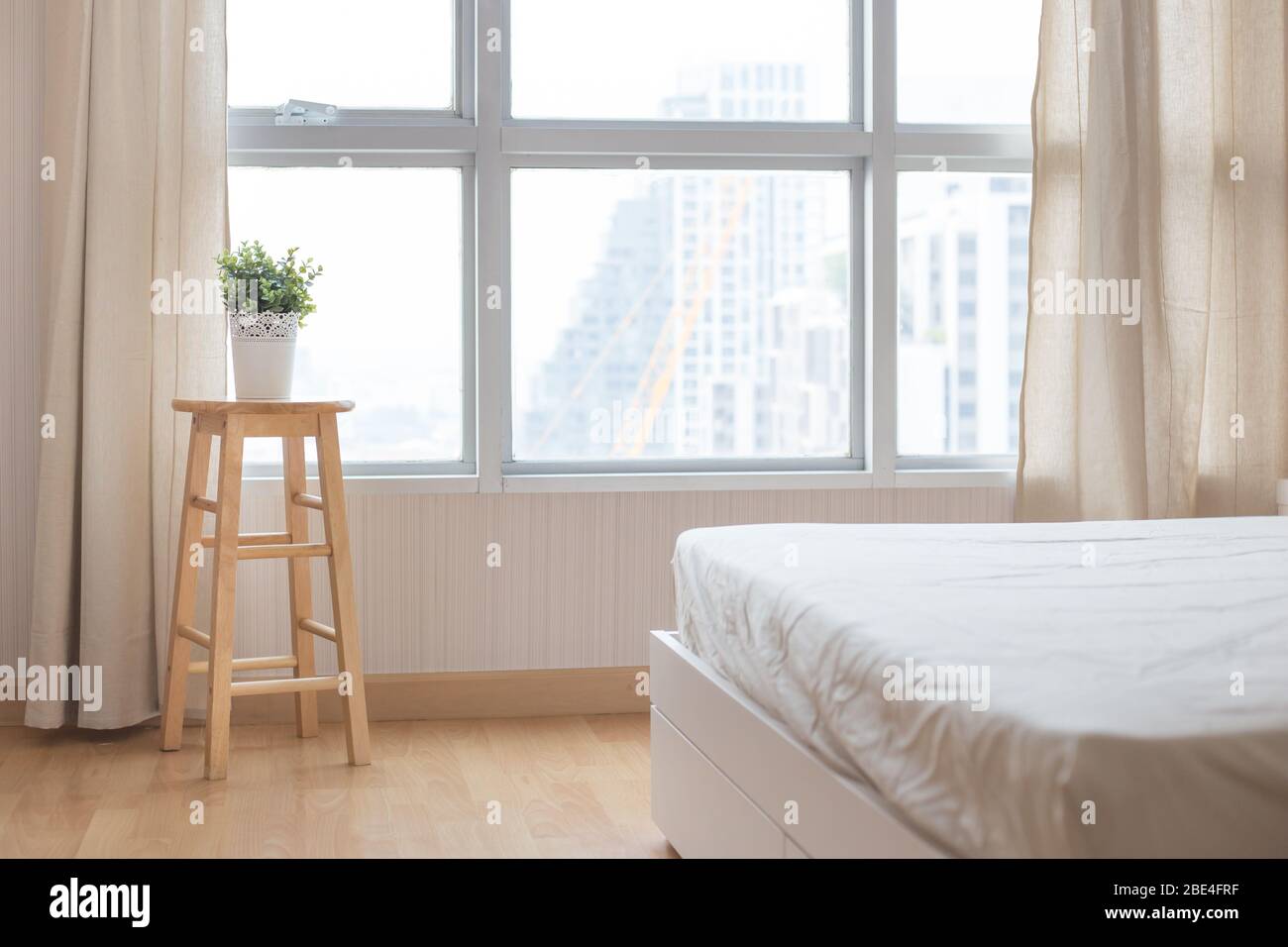 Gemütliches Wohnzimmer in der Wohnung, Pflanze in Topf in der Nähe von großen Fenster Stockfoto