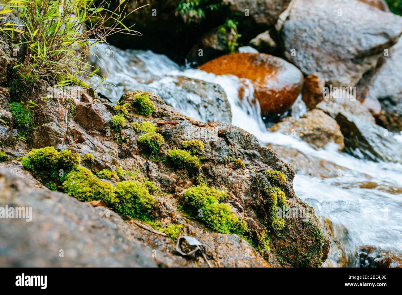 Ein kleiner Gebirgsfluss fließt zwischen großen Steinen in bergigen Gebieten durch den Wald. Natürliche Landschaft, mit einem sauberen Fluss eine schöne Landschaft, Stockfoto