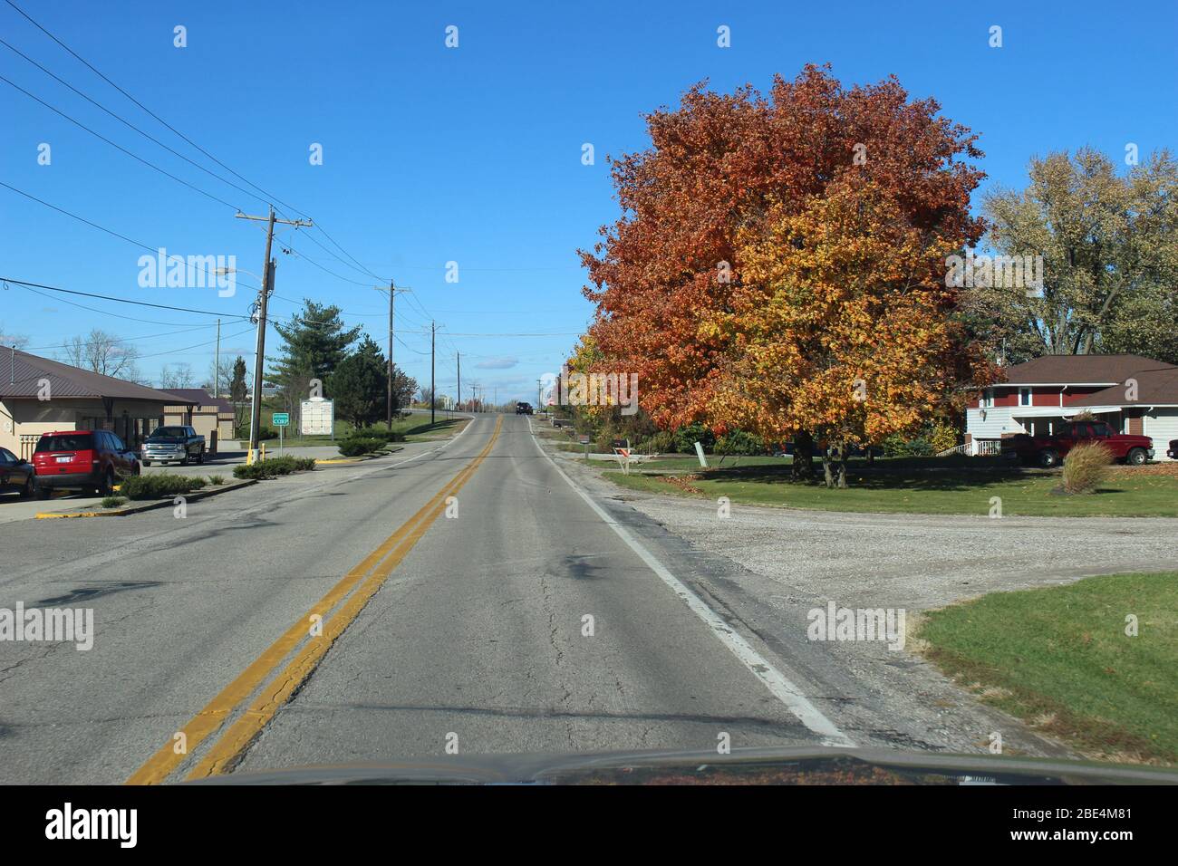 Groveport Ohio Straßen mit bunten Bäumen, Familie von Gänsen auf einem Teich, drei Bach Spaziergang Weg mit bunten Bäumen und grüner Landschaft umgeben Stockfoto