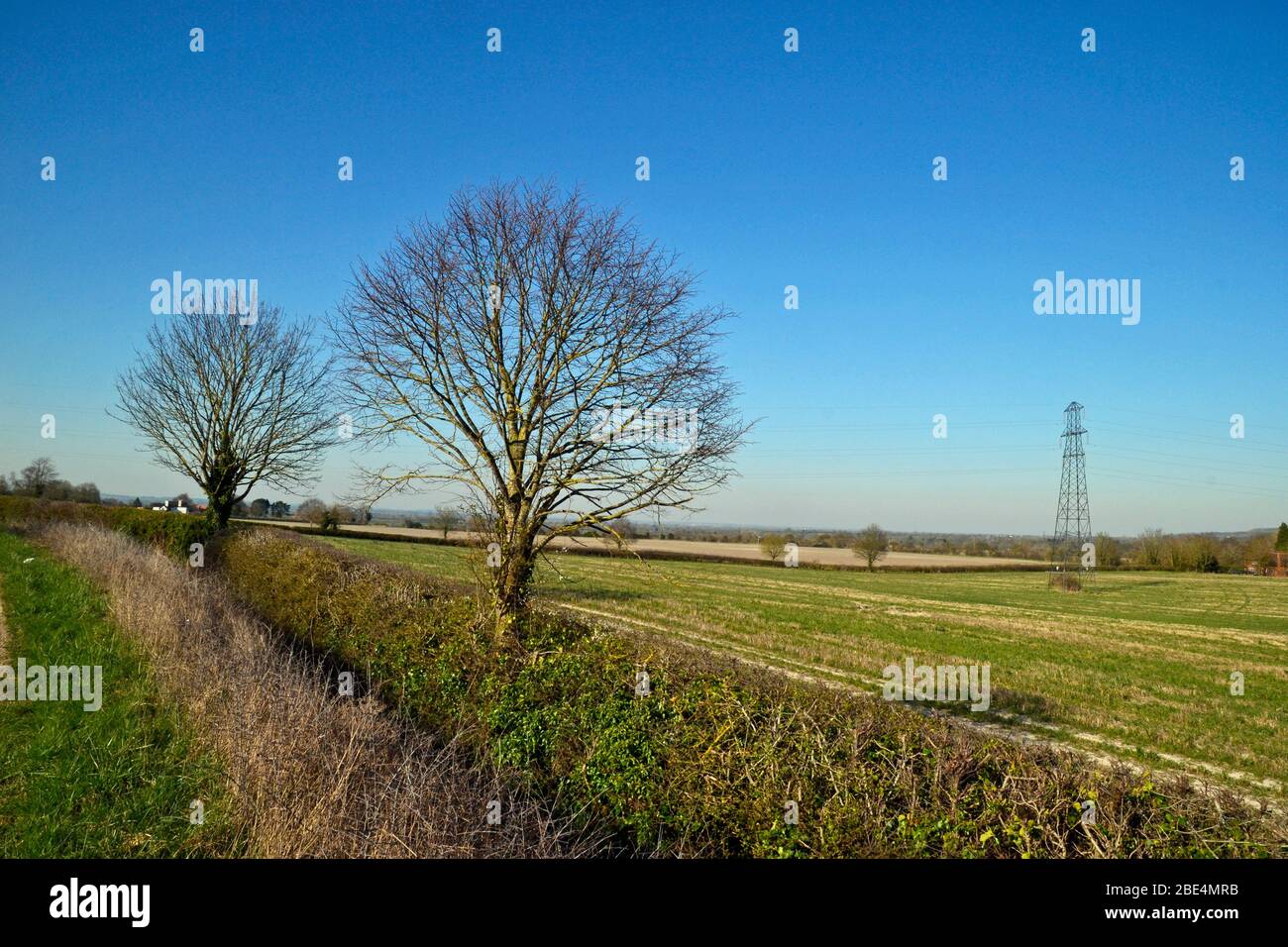 Blick von einem Teil des Icknield Way, Landstraße, in der Nähe von Princes Risborough, Großbritannien Stockfoto