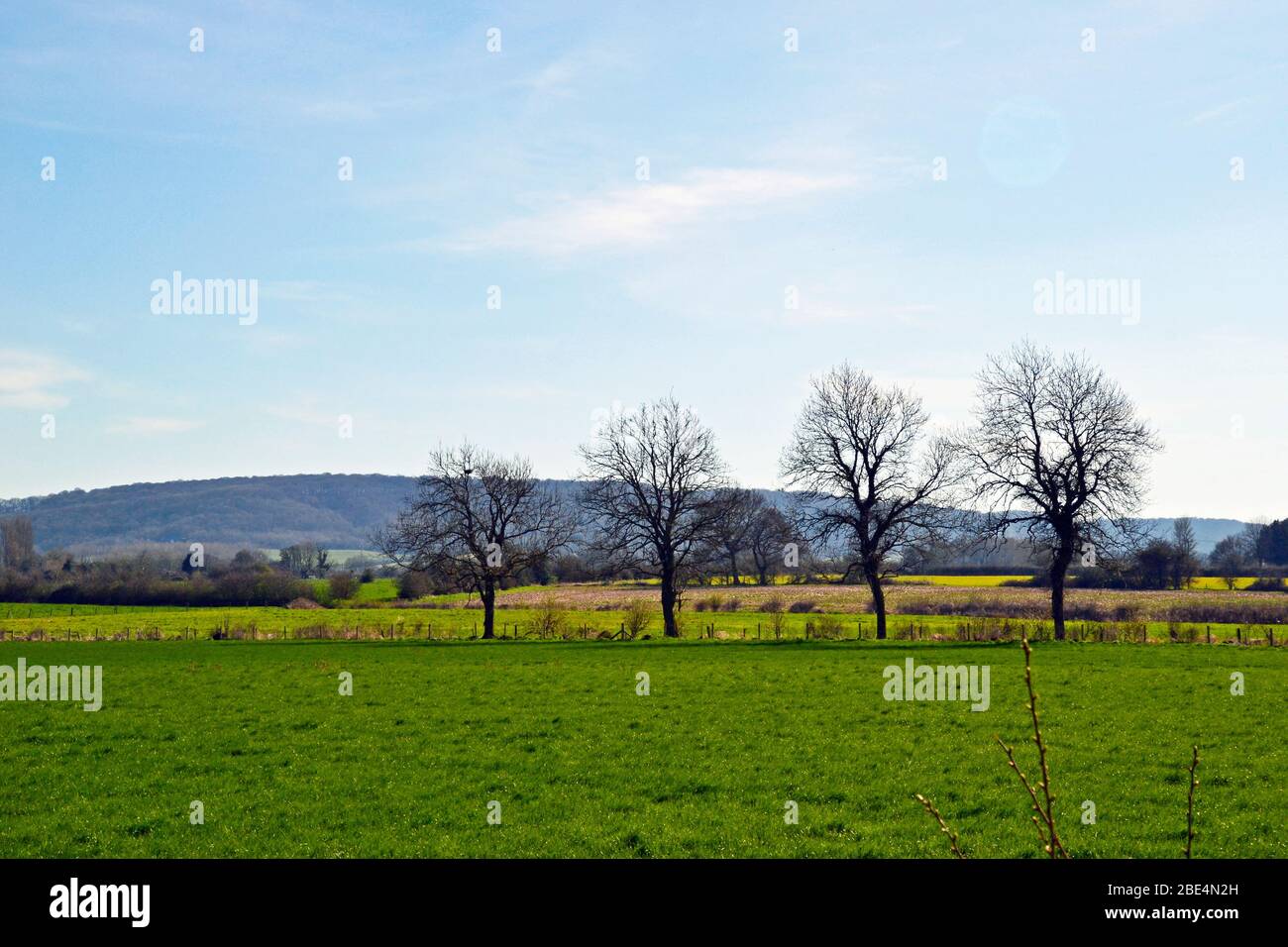 Blick über Felder vom Phoenix Trail, der von Princes Risborough in Buckinghamshire nach Thame in Oxfordshire, Großbritannien, führt. Chilterns. Stockfoto