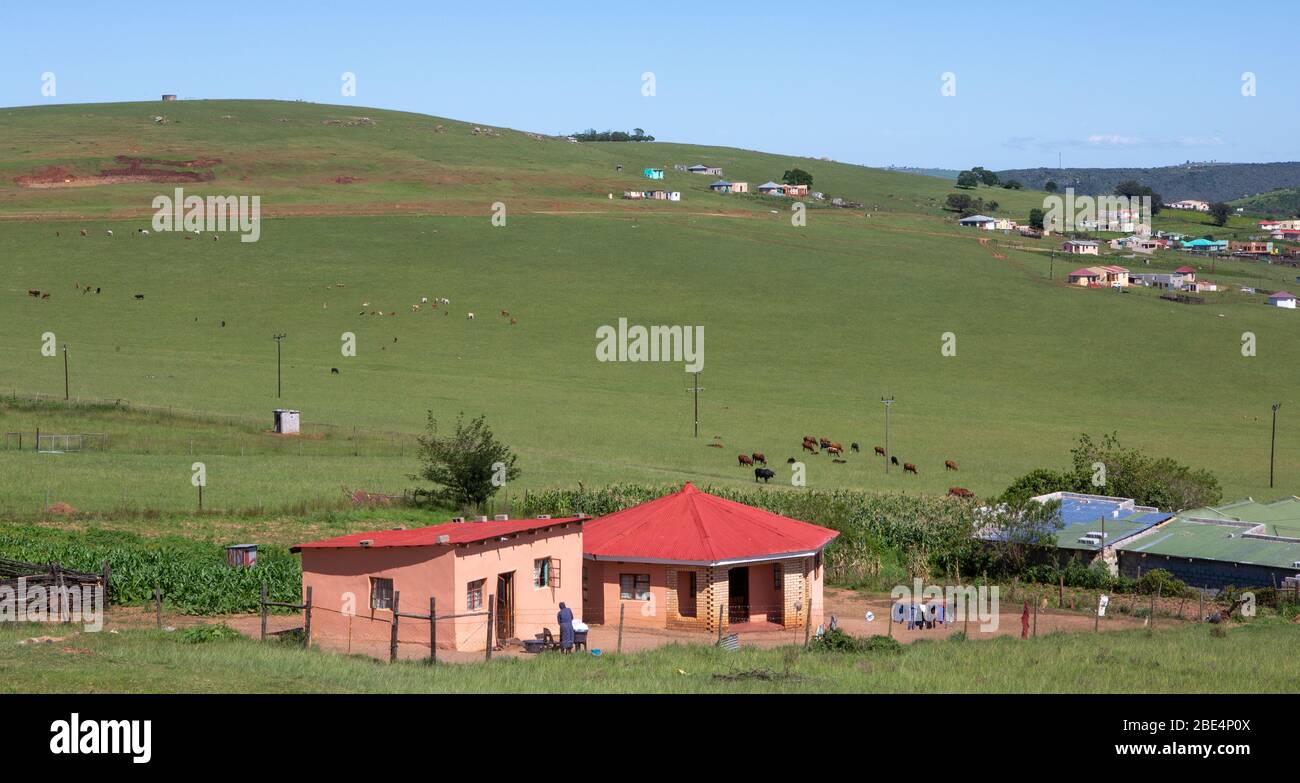 Südafrikanische Landschaft Stockfoto