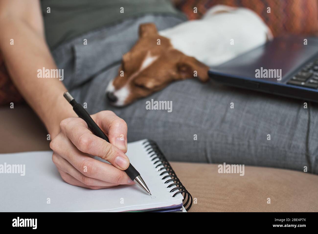 Frau schreibt Pläne in Notizbuch mit ihrem Jack Rusel Terrier Welpen Hund. Gute Beziehungen und Freundschaft zwischen Besitzer und Tier Haustier Stockfoto