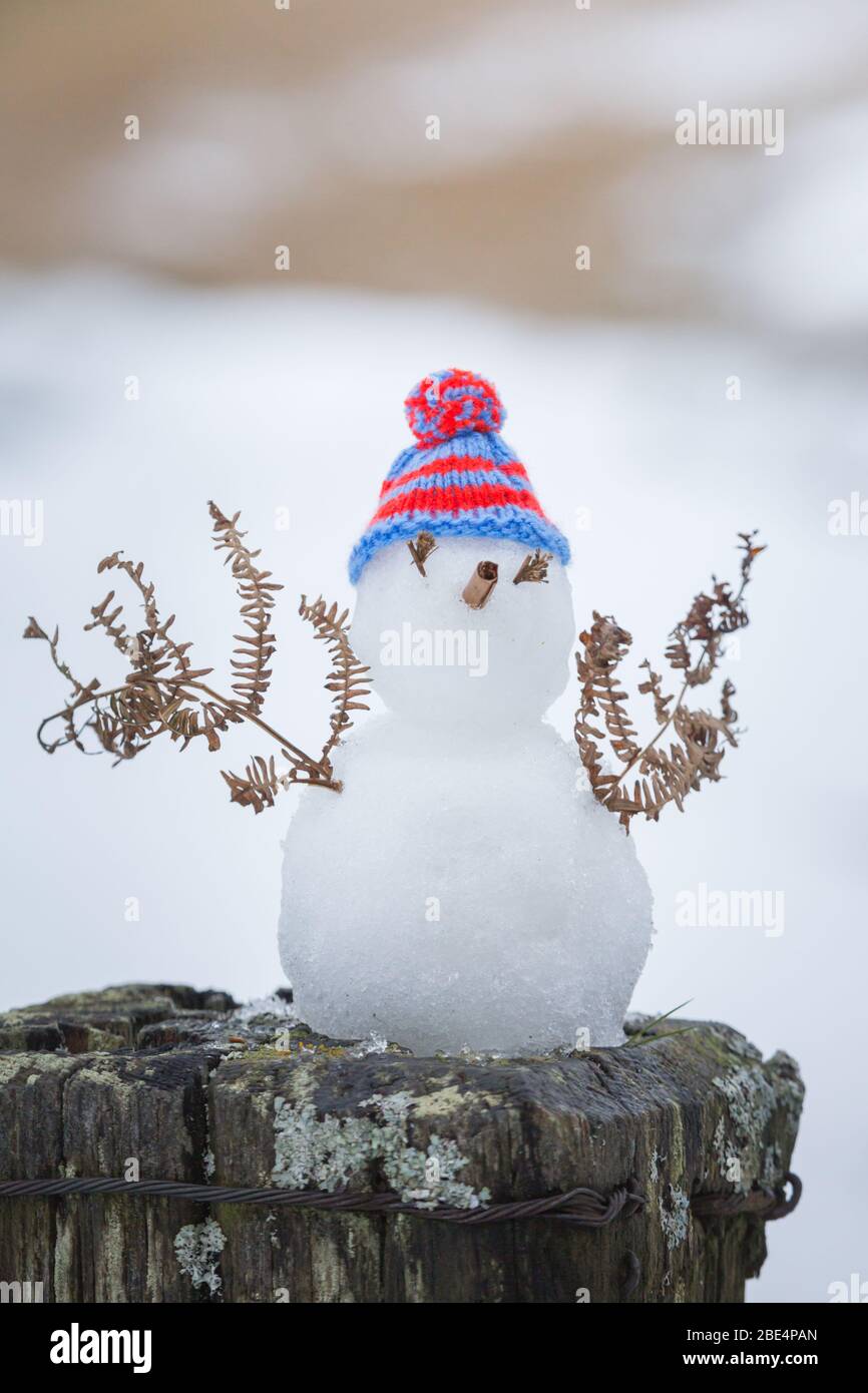 Mini Schneemann mit einem roten ein blau gestreiften wolligen Hut und Farn Wedel für Arme, sitzen auf einem Zaun Pfosten mit Schnee überall an einem Wintertag Stockfoto