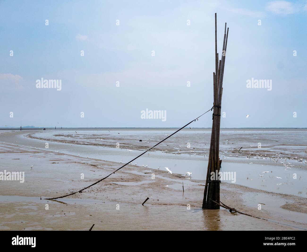 Schlammebenen bei Ebbe im Golf von Thailand, an der Küste der Chachoengsao Provinz Thailand ausgesetzt. Ausgebagter Kanal für Boote, um die Ebenen vis navigieren Stockfoto