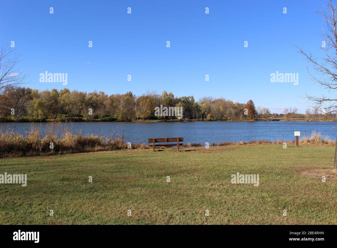 Groveport Ohio Straßen mit bunten Bäumen, Familie von Gänsen auf einem Teich, drei Bach Spaziergang Weg mit bunten Bäumen und grüner Landschaft umgeben Stockfoto