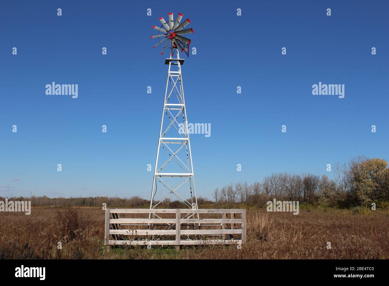 Groveport Ohio Straßen mit bunten Bäumen, Familie von Gänsen auf einem Teich, drei Bach Spaziergang Weg mit bunten Bäumen und grüner Landschaft umgeben Stockfoto