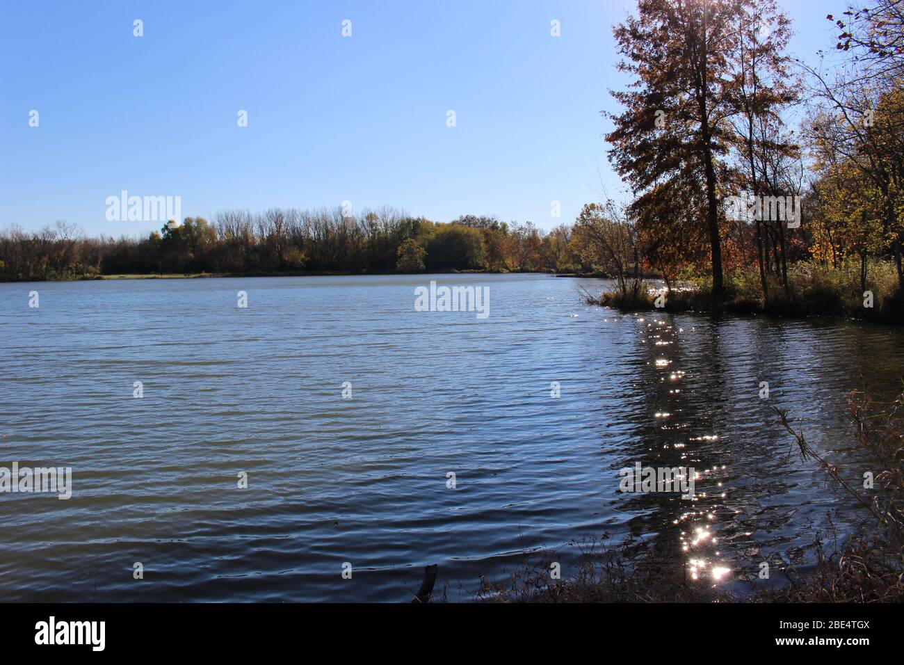 Groveport Ohio Straßen mit bunten Bäumen, Familie von Gänsen auf einem Teich, drei Bach Spaziergang Weg mit bunten Bäumen und grüner Landschaft umgeben Stockfoto