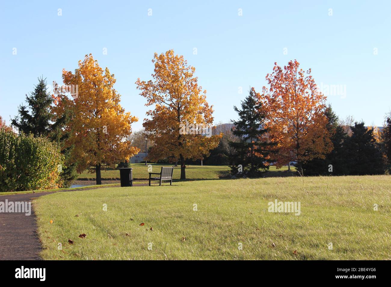 Groveport Ohio Straßen mit bunten Bäumen, Familie von Gänsen auf einem Teich, drei Bach Spaziergang Weg mit bunten Bäumen und grüner Landschaft umgeben Stockfoto