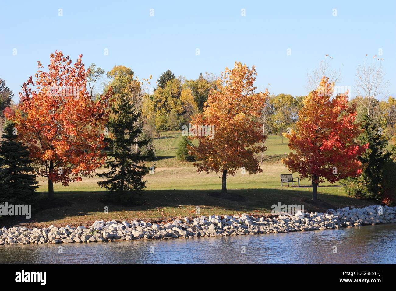 Groveport Ohio Straßen mit bunten Bäumen, Familie von Gänsen auf einem Teich, drei Bach Spaziergang Weg mit bunten Bäumen und grüner Landschaft umgeben Stockfoto