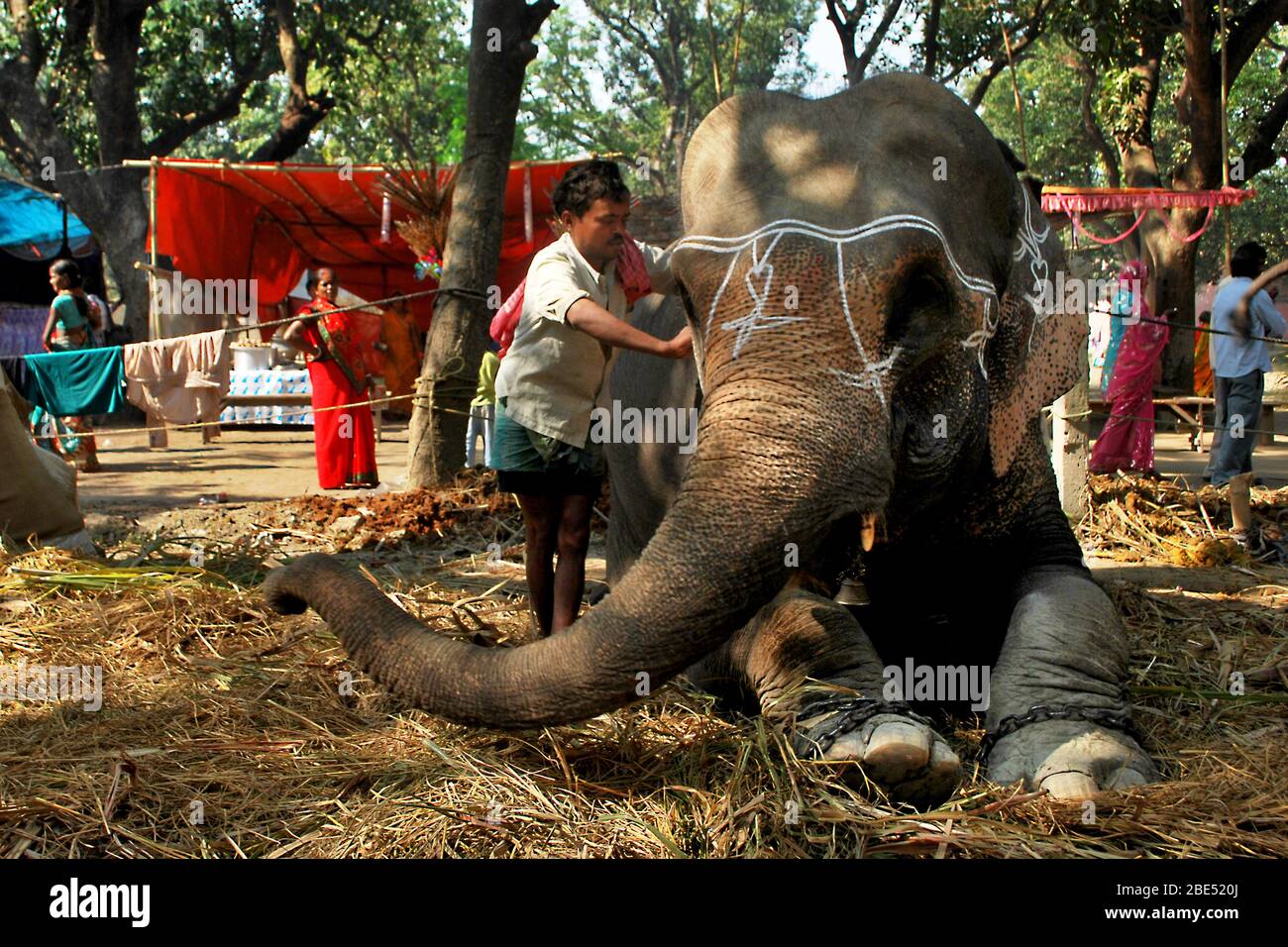 Elefantendekoration auf Sonepur Tiermesse bihar indien Stockfoto