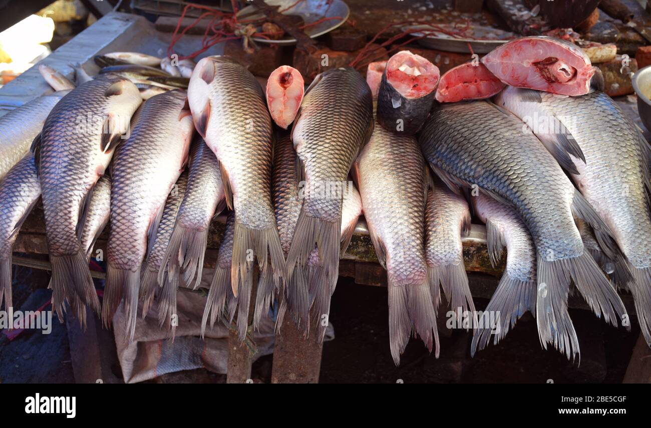 Fischhaufen, die auf einem indischen Fischmarkt in westbengalen liegen Stockfoto