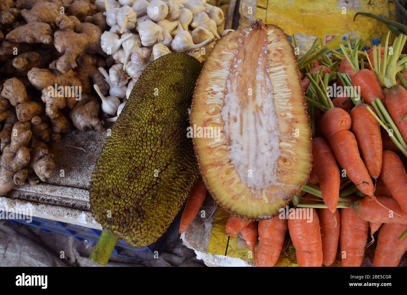 Indische Jackfruit oder Kathal auf einem indischen Gemüsemarkt Stockfoto