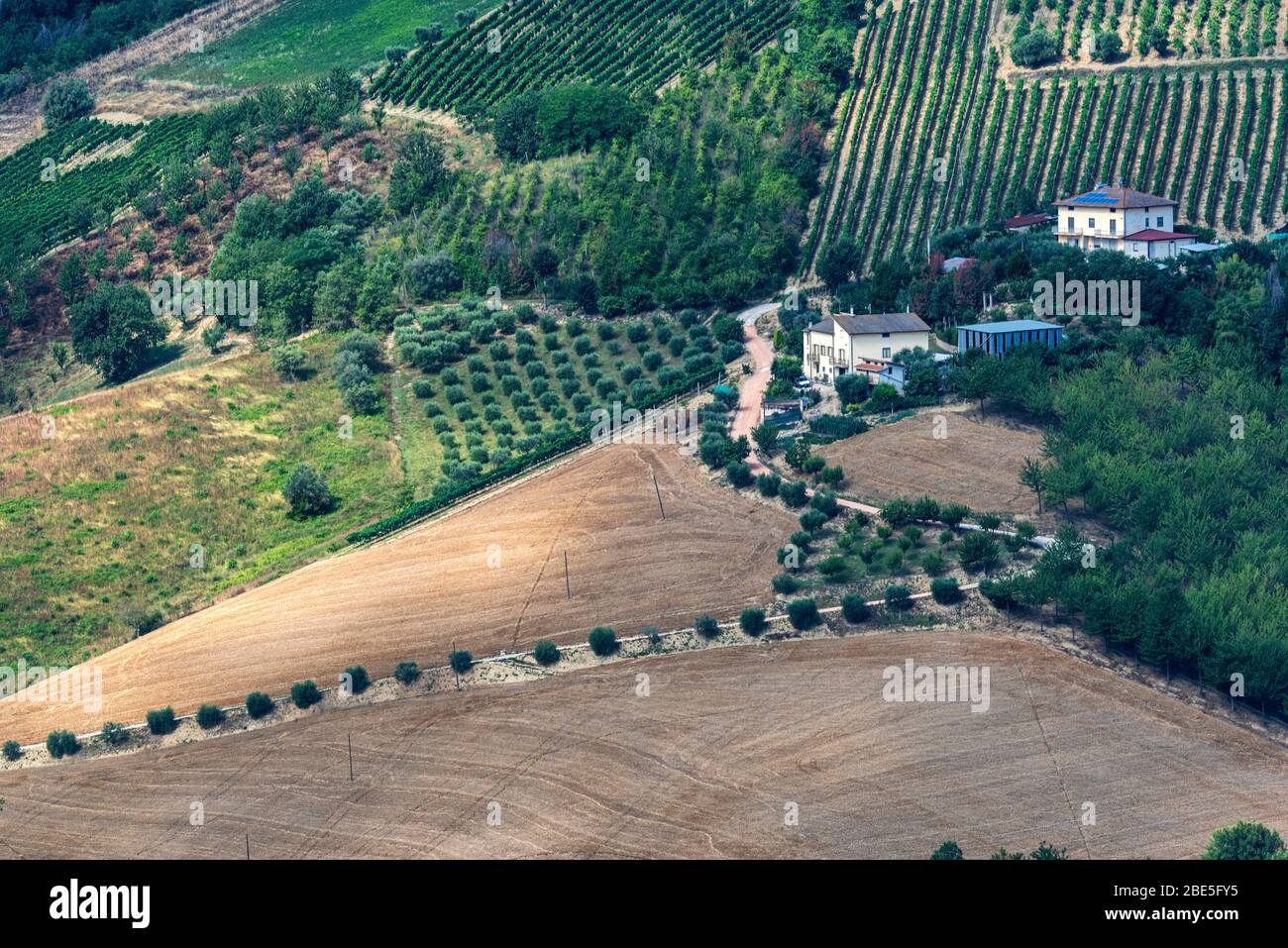 Ländliche Landschaft im Sommer in der Nähe von Ripatransone, Ascoli Piceno, Marken, Italien Stockfoto