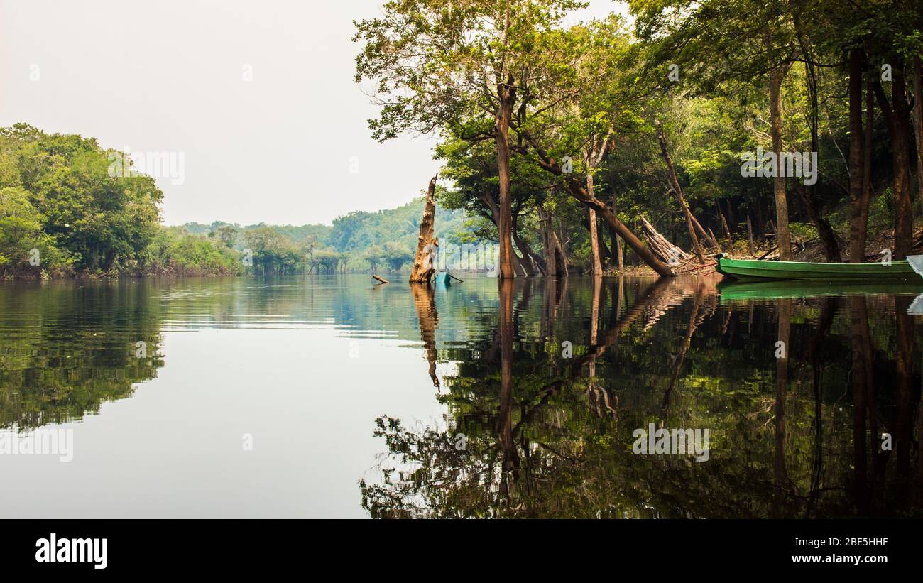 Amazonas Regenwald in der Nähe von Manaus, Brasilien. Aufgenommen 2015. Safaries und schlafen die Natur. Boot und Reflexion auf dem Fluss. Baum und Flussufer. Stockfoto