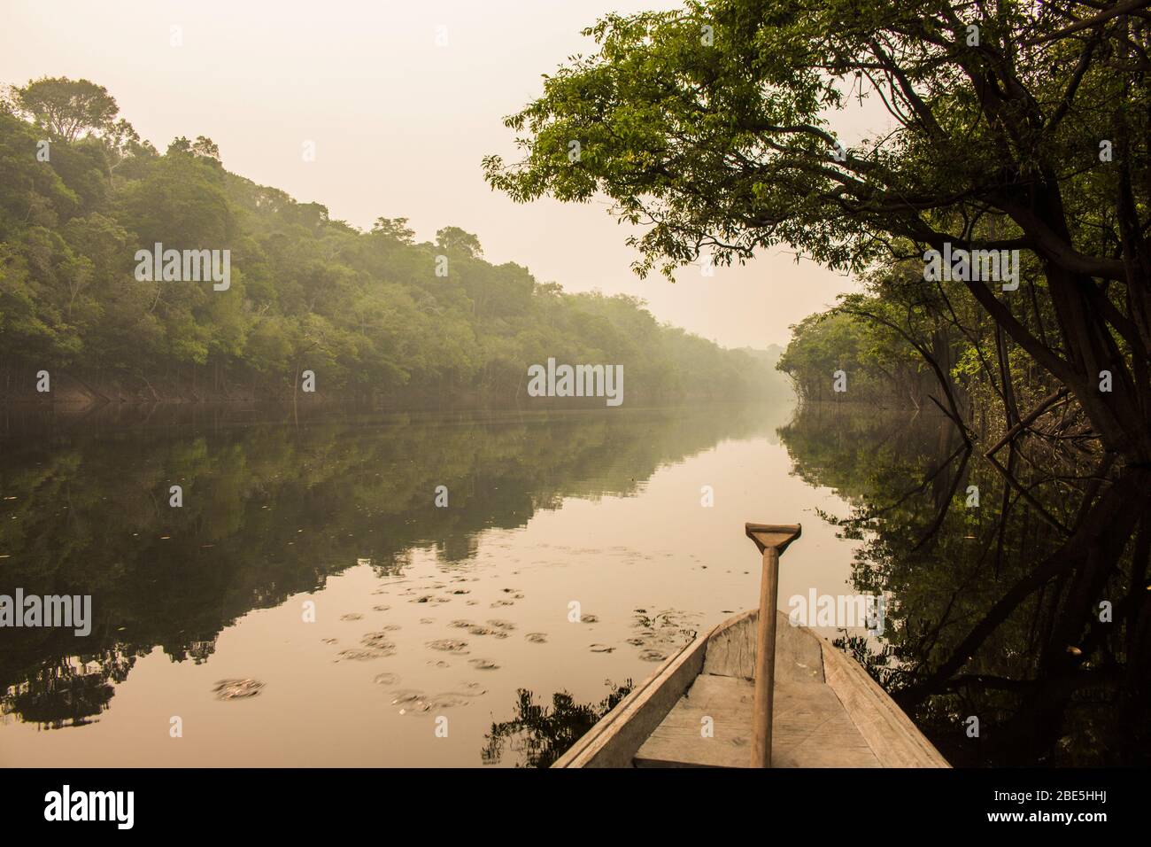 Aufgenommen 2015 bei einer amazonas-Safari in der Nähe von manaus, Brasilien. Amazonas-Regenwald, Flussufer und Nebel. Holzboot und Paddel, Reflexion auf dem Wasser. Stockfoto