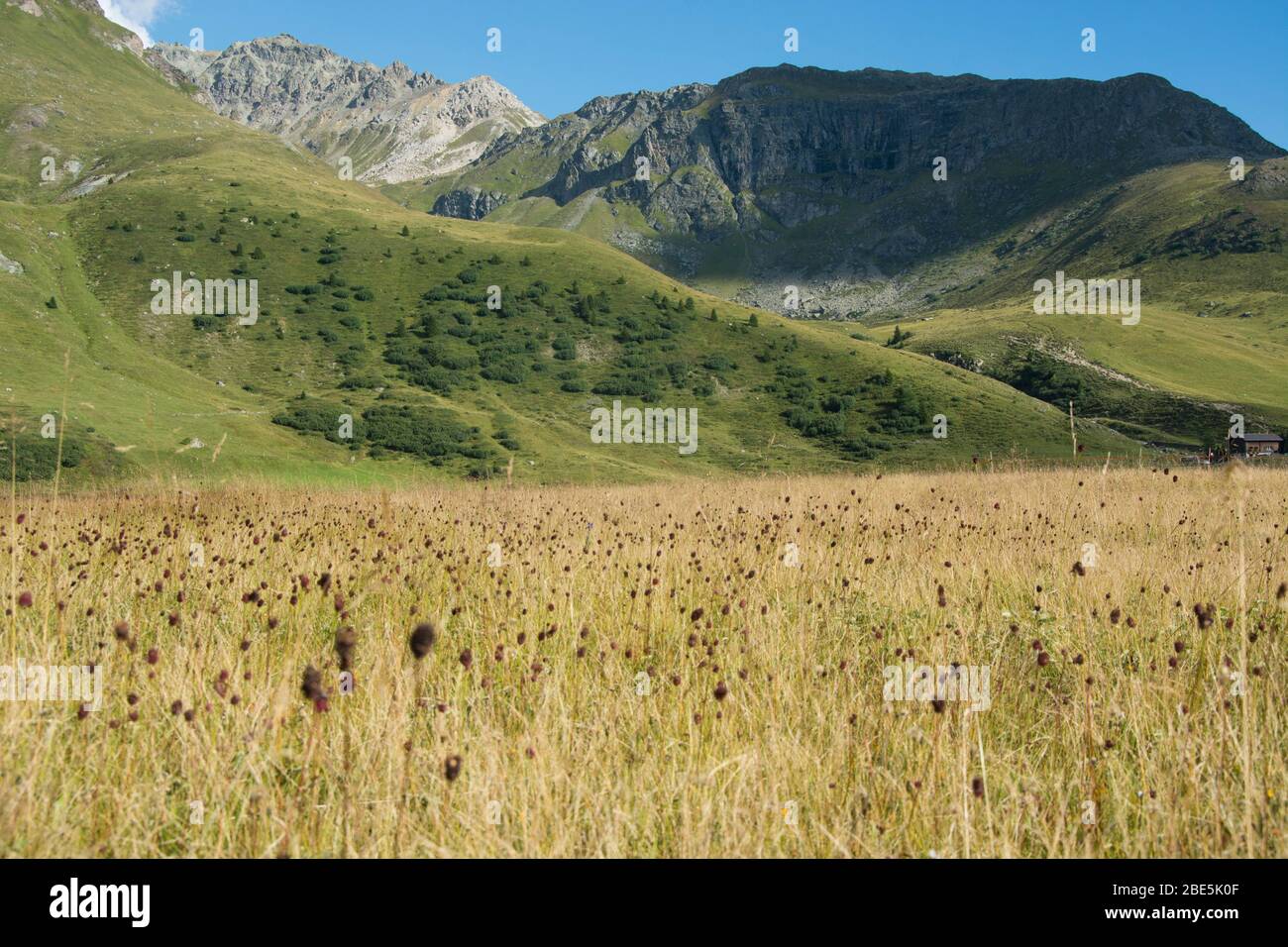 Panoramablick über die Moorlandschaft auf der Alp Flix in Graubünden, Schweiz Stockfoto