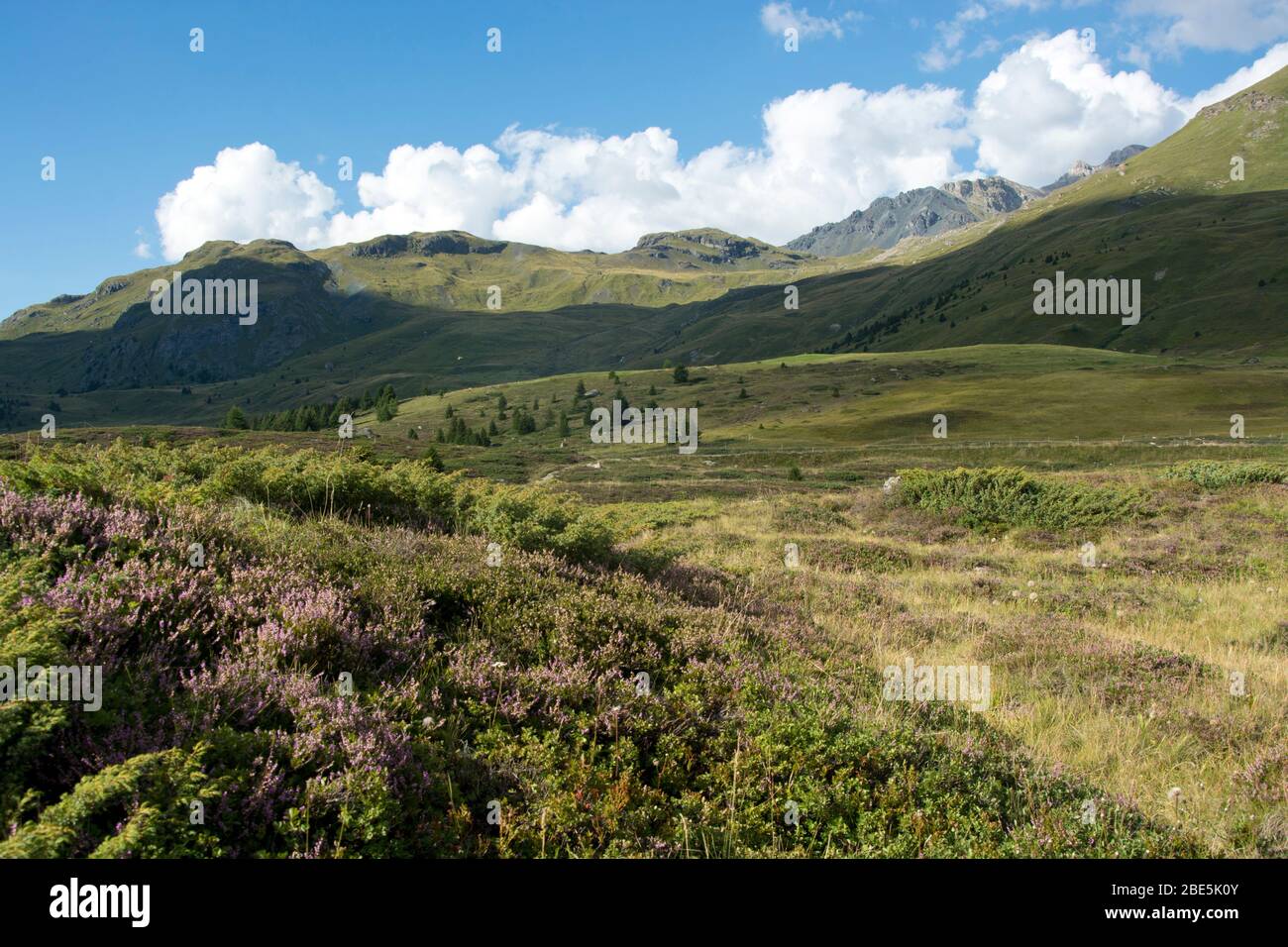 Panoramablick über die Moorlandschaft auf der Alp Flix in Graubünden, Schweiz Stockfoto