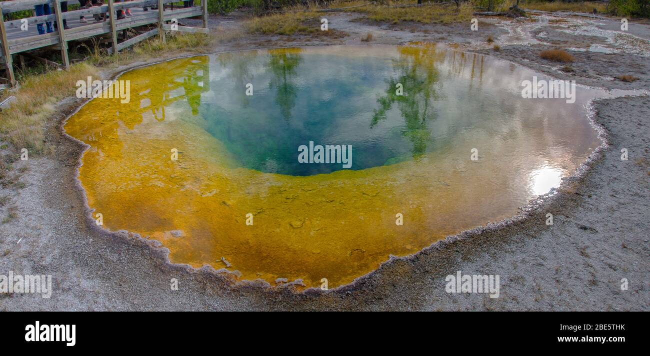 Morgen Glory Pool in Yellowstone mit Spiegelung der Bäume Stockfoto