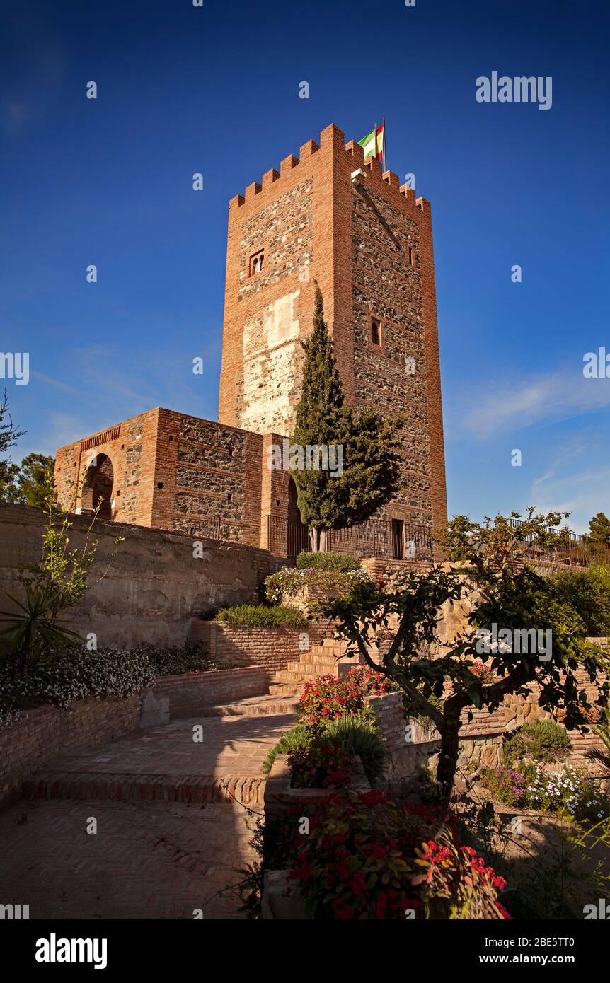 Die Alcazaba, auch bekannt als ‘Fortaleza’, eine arabische Festung aus dem 8. Jahrhundert, die Vêlez Malaga, Andalusien, Spanien dominiert. Gebaut, um die lokale Bevölkerung zu unterwerfen. Stockfoto