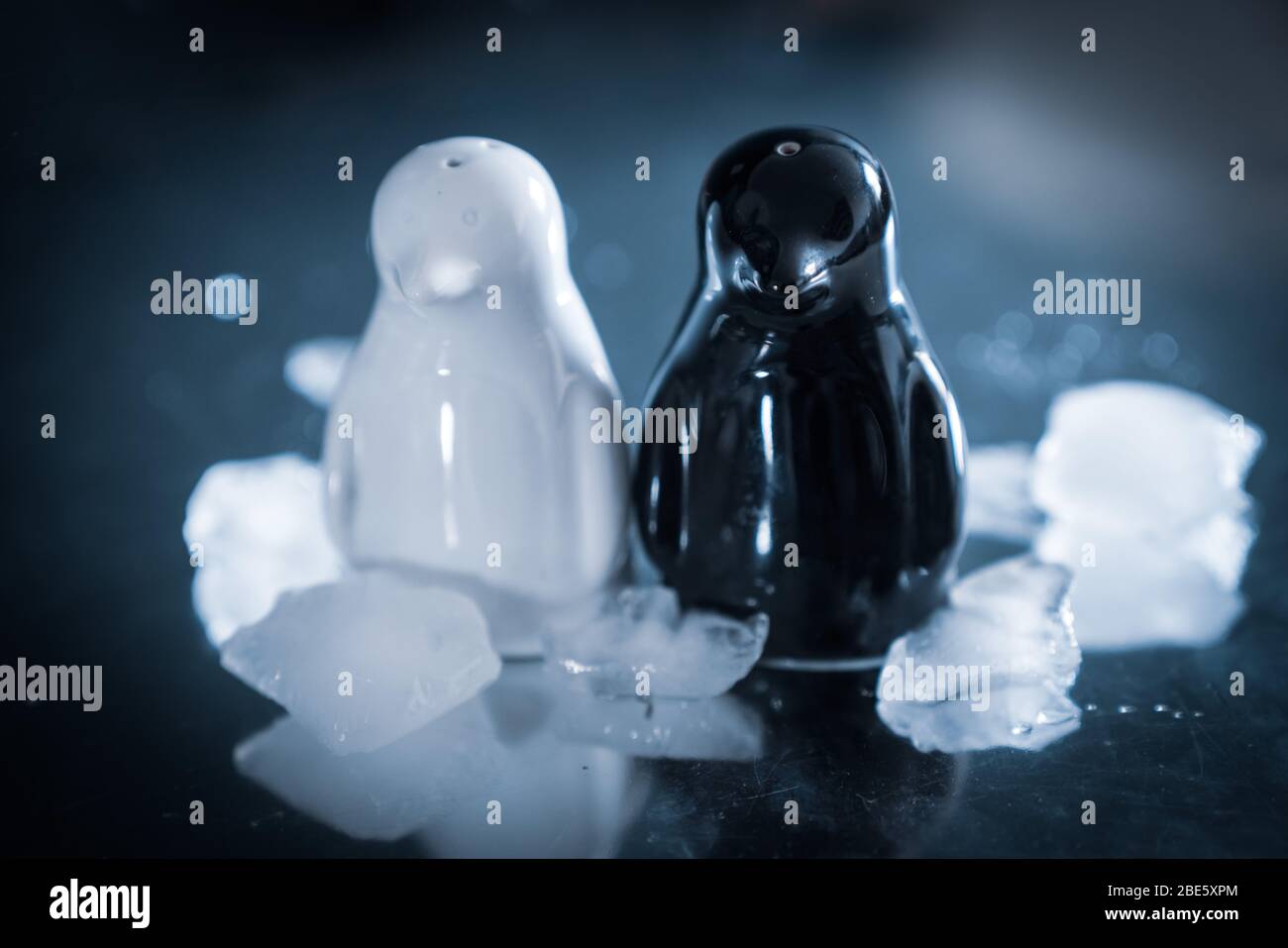 Schwarz-Weiß-Salz- und Pfefferstreuer mit Eiswürfeln und Reflexionen Stockfoto
