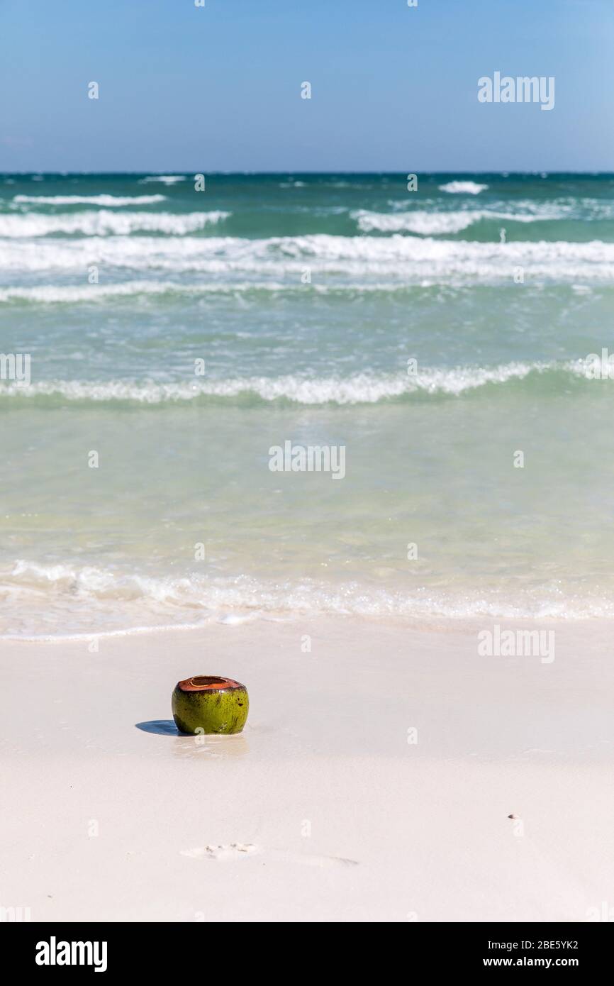 Frisch geschnittene Kokosnuss auf weißem Sand, Koh Rong Samloem, Kambodscha. Stockfoto