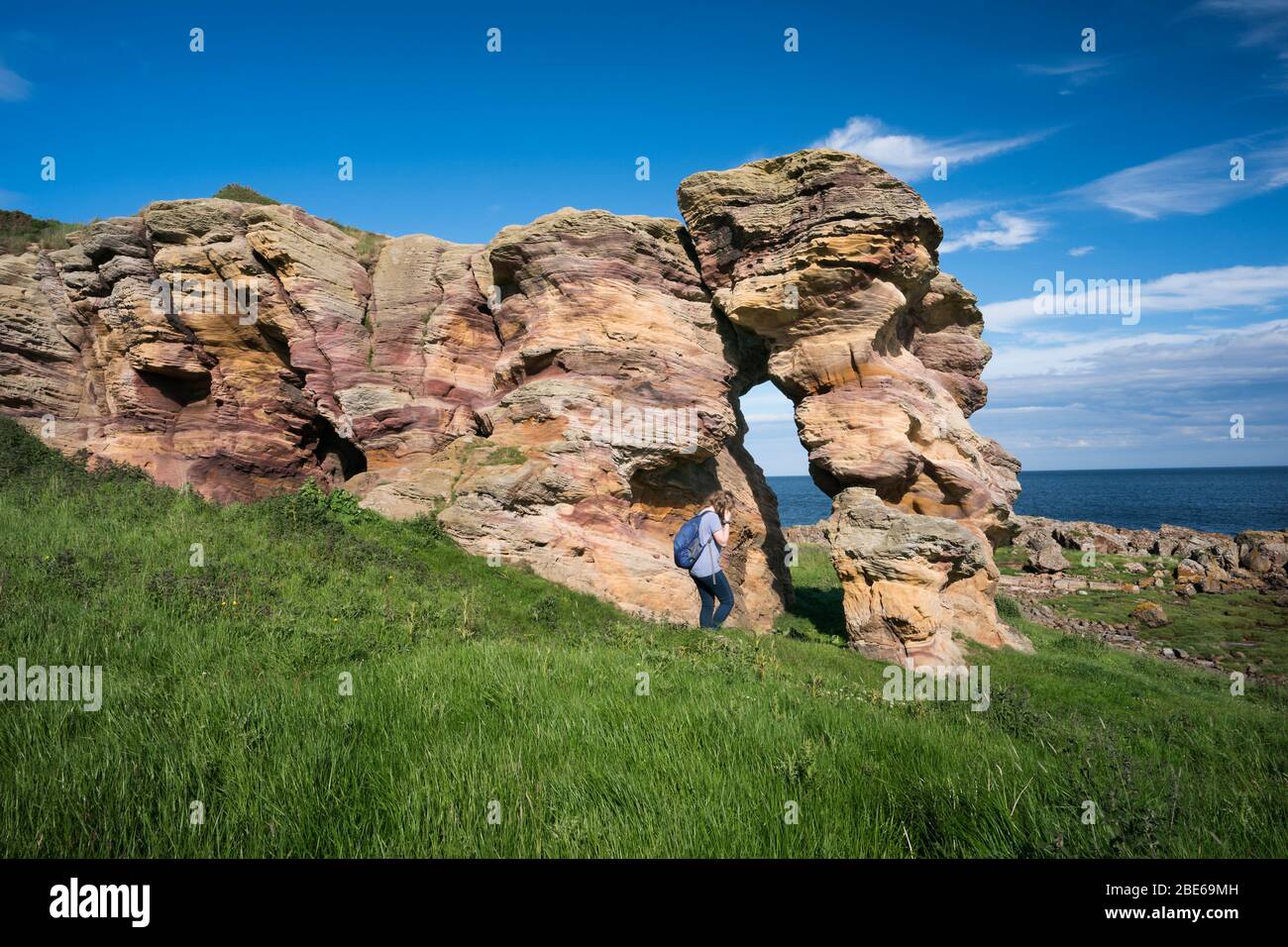 Eine Touristenin nähert sich den Caiplie Caves, oder Coves, Felsformationen entlang der Nordsee auf dem Fife Coastal Path, Crail, Schottland, Europa Stockfoto