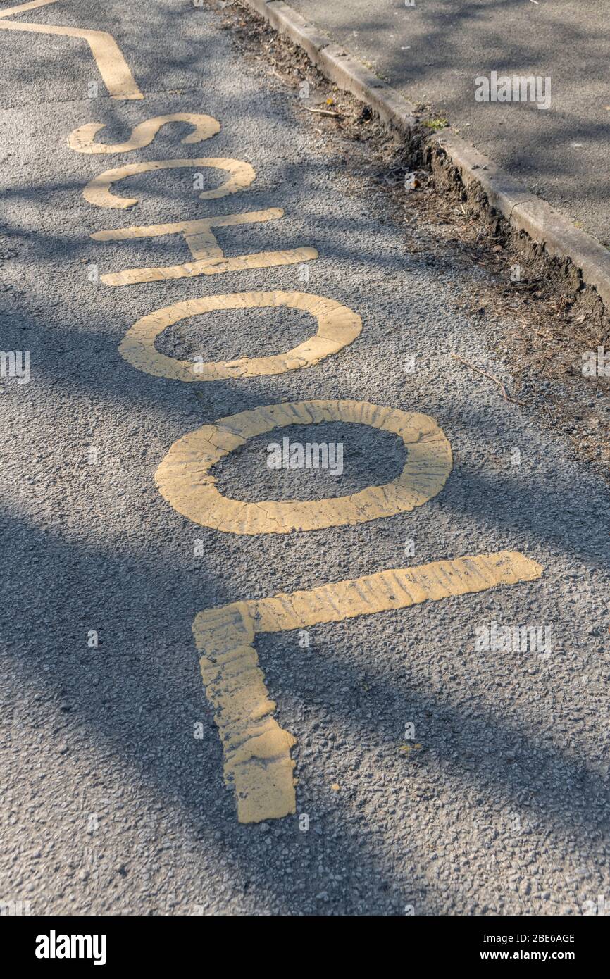 Gelbe Schule halten klare Zone Bereich auf Asphalt außerhalb Schuleingang an einem sonnigen Frühlingsmorgen gemalt. Keine Parkplätze, Absetzung, Abholung erlaubt. Stockfoto