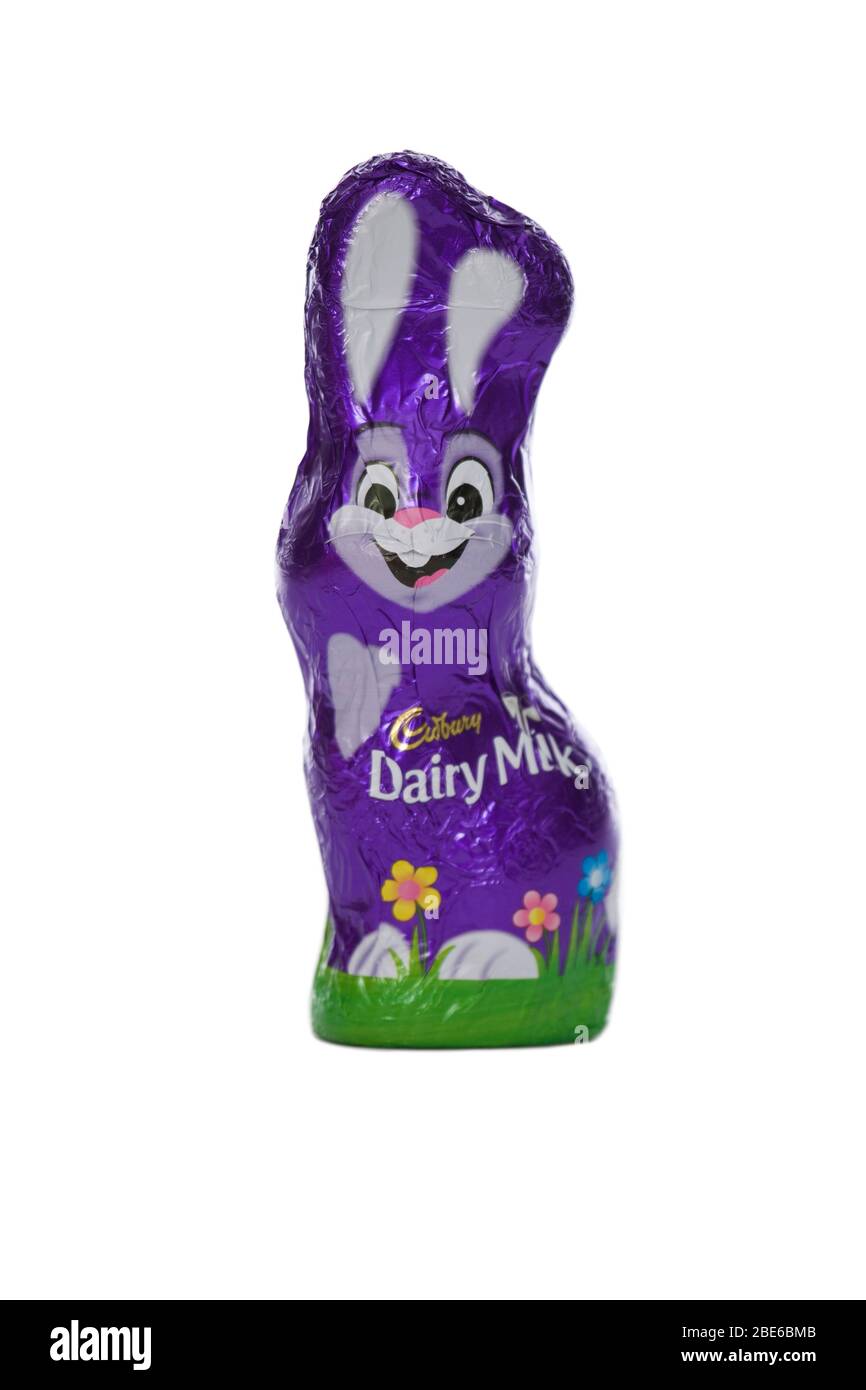 Cadbury Schokoladenhasen auf weißem Hintergrund Stockfoto