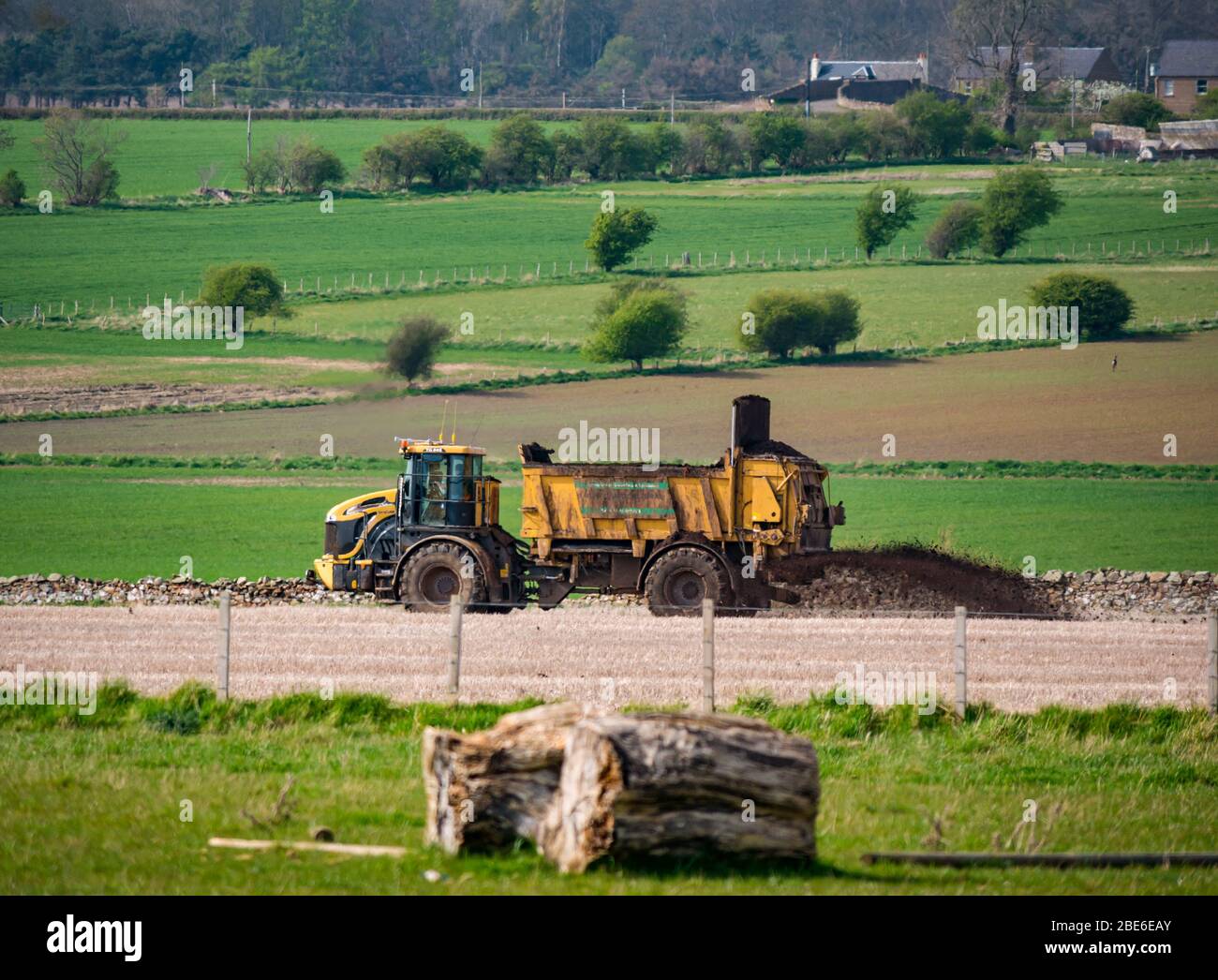 Düngung auf landwirtschaftlichen Nutzpflanzen im Frühjahr, East Lothian, Schottland, Großbritannien Stockfoto