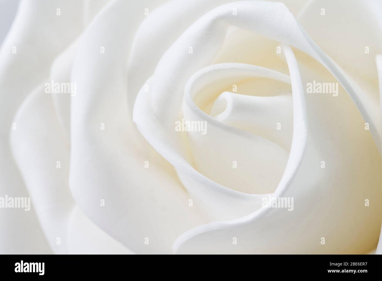 Weiße Blume geformt welligen Formen Stockfoto