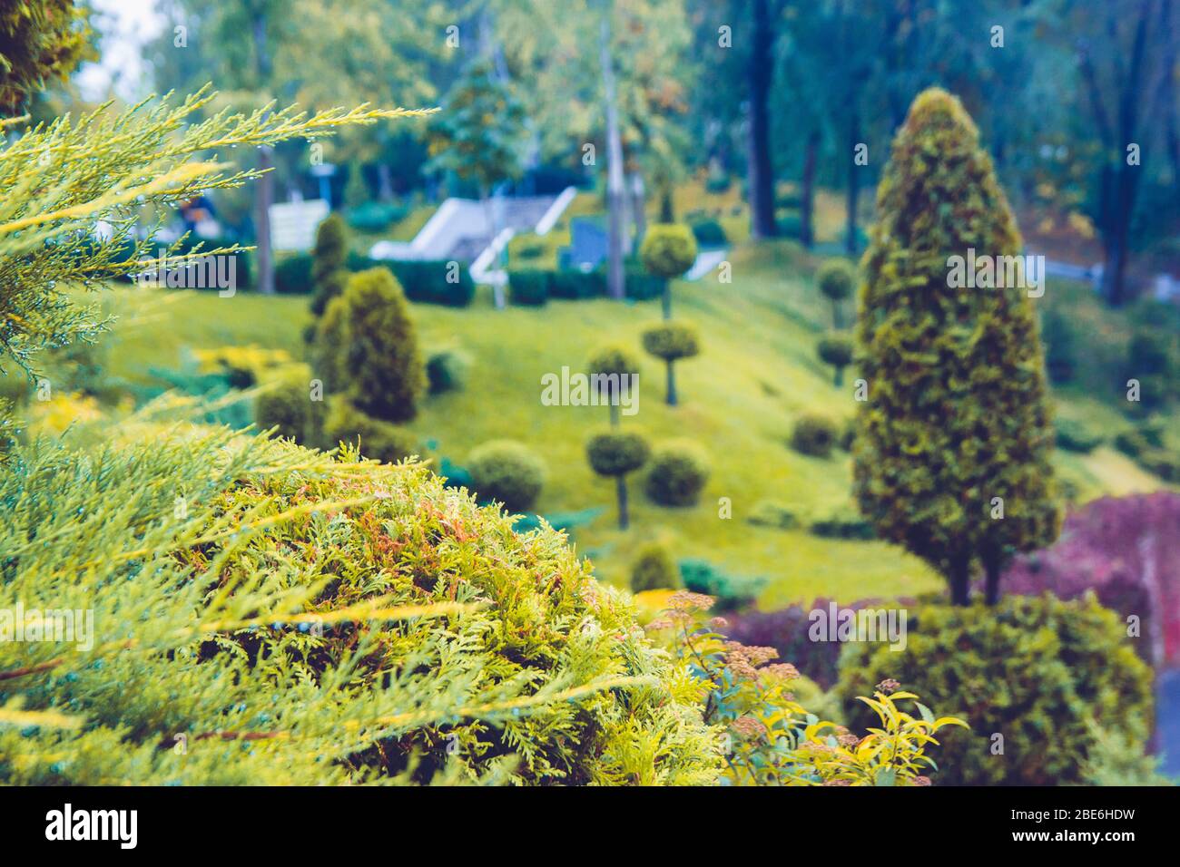 Schöner grüner Park mit Bäumen, Sträuchern und grünen Rasen, Landschaft Frühjahr und Sommer-Design Stockfoto
