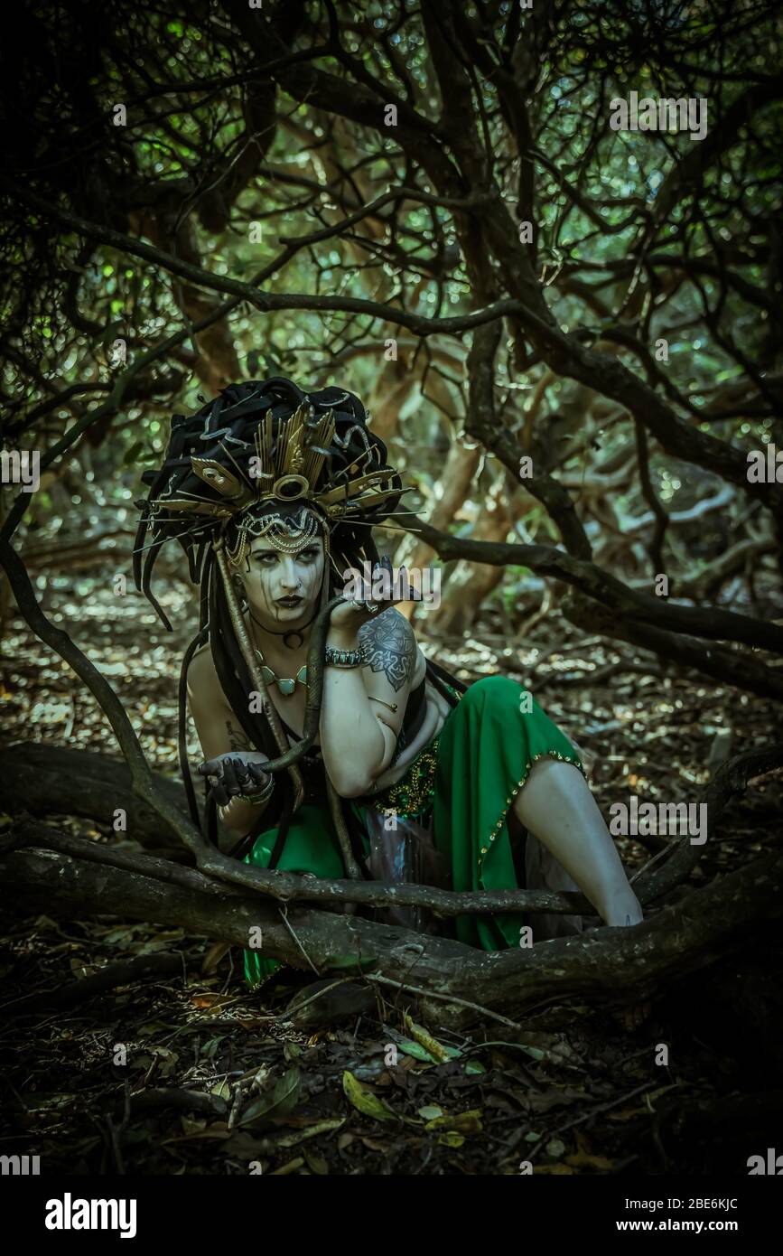 Medusa, die Gorgon, lauert in ihrem Dschungel Stockfoto