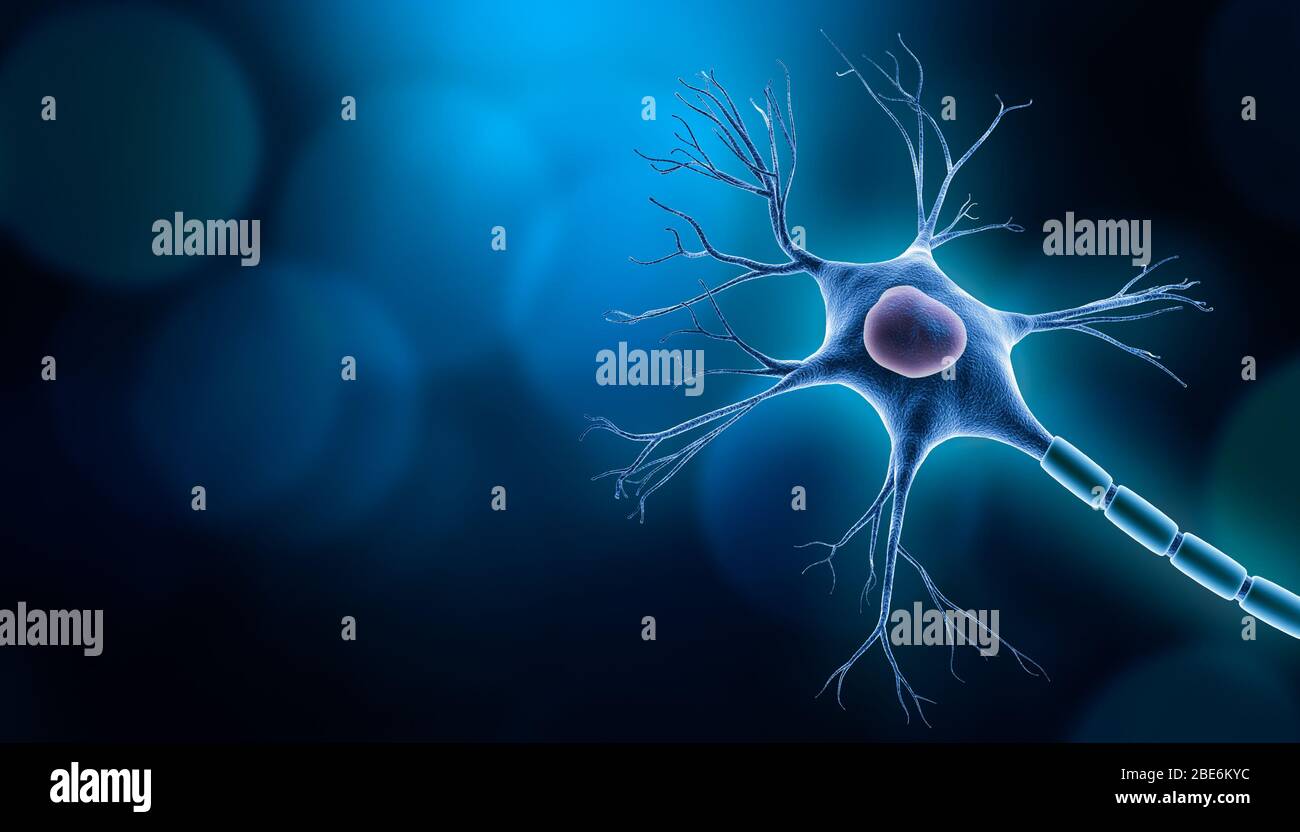 Neuronzellen-Körper mit Nukleus-Design, 3D-Rendering-Illustration mit Kopierraum und blauem Hintergrund. Neurowissenschaften, Neurologie, Biologie, Psychologie, med Stockfoto