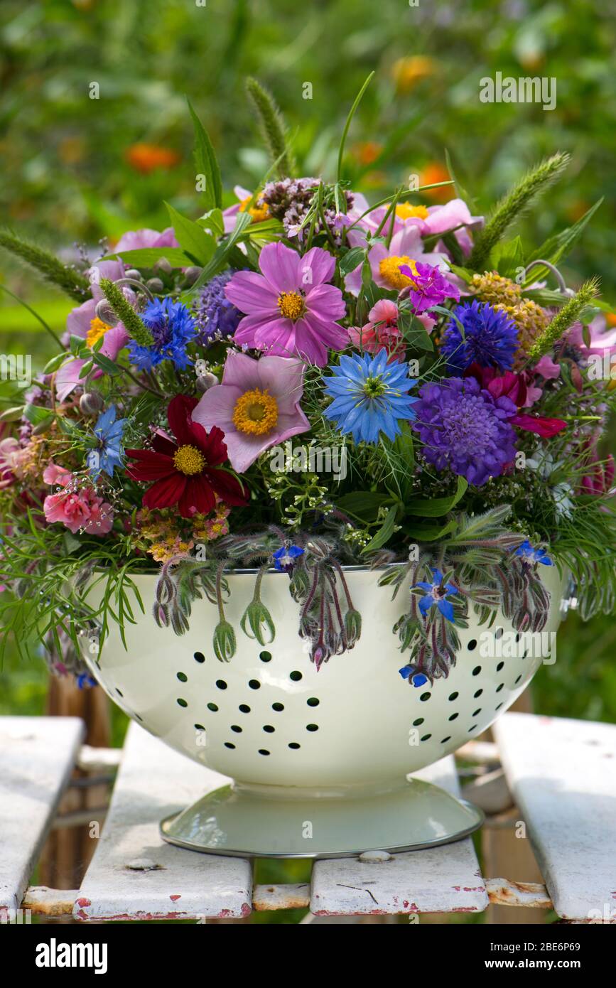 Farbenfroher Wildblumenstrauß in einem Topf Stockfoto