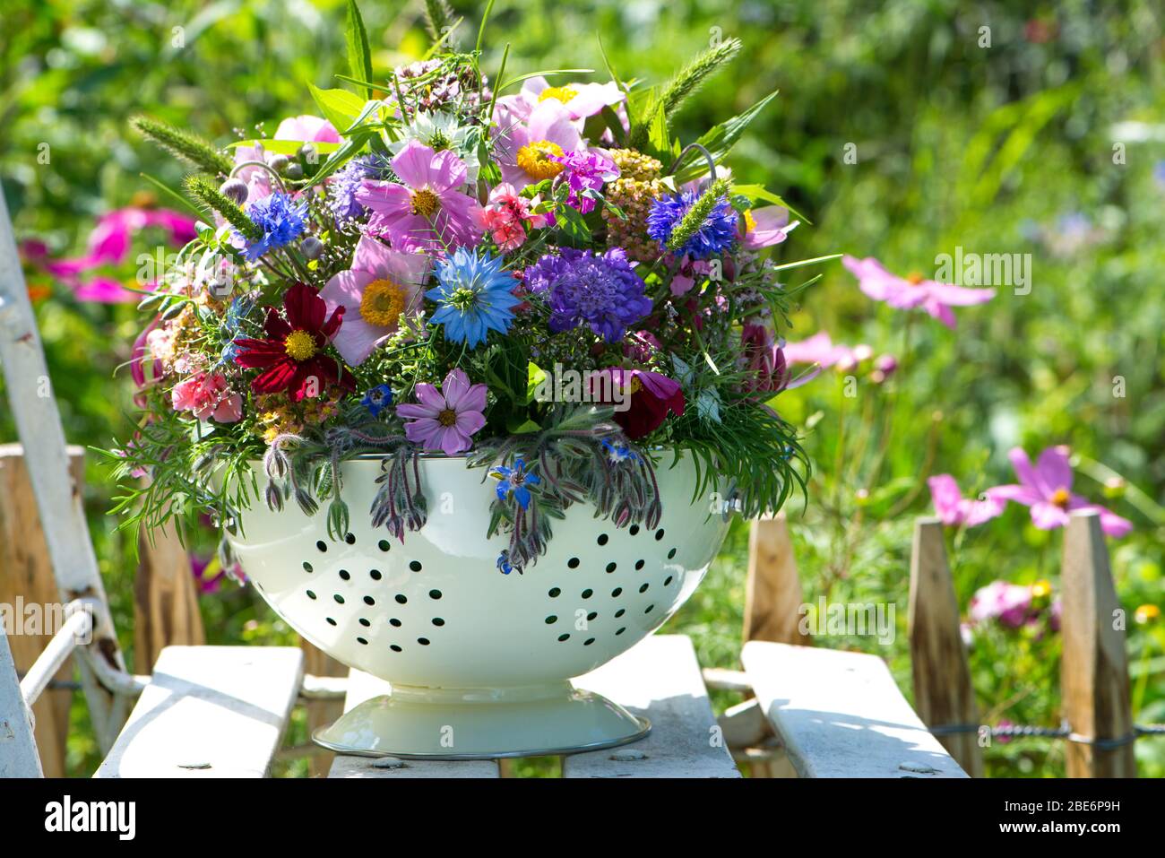 Farbenfroher Wildblumenstrauß in einem Topf Stockfoto