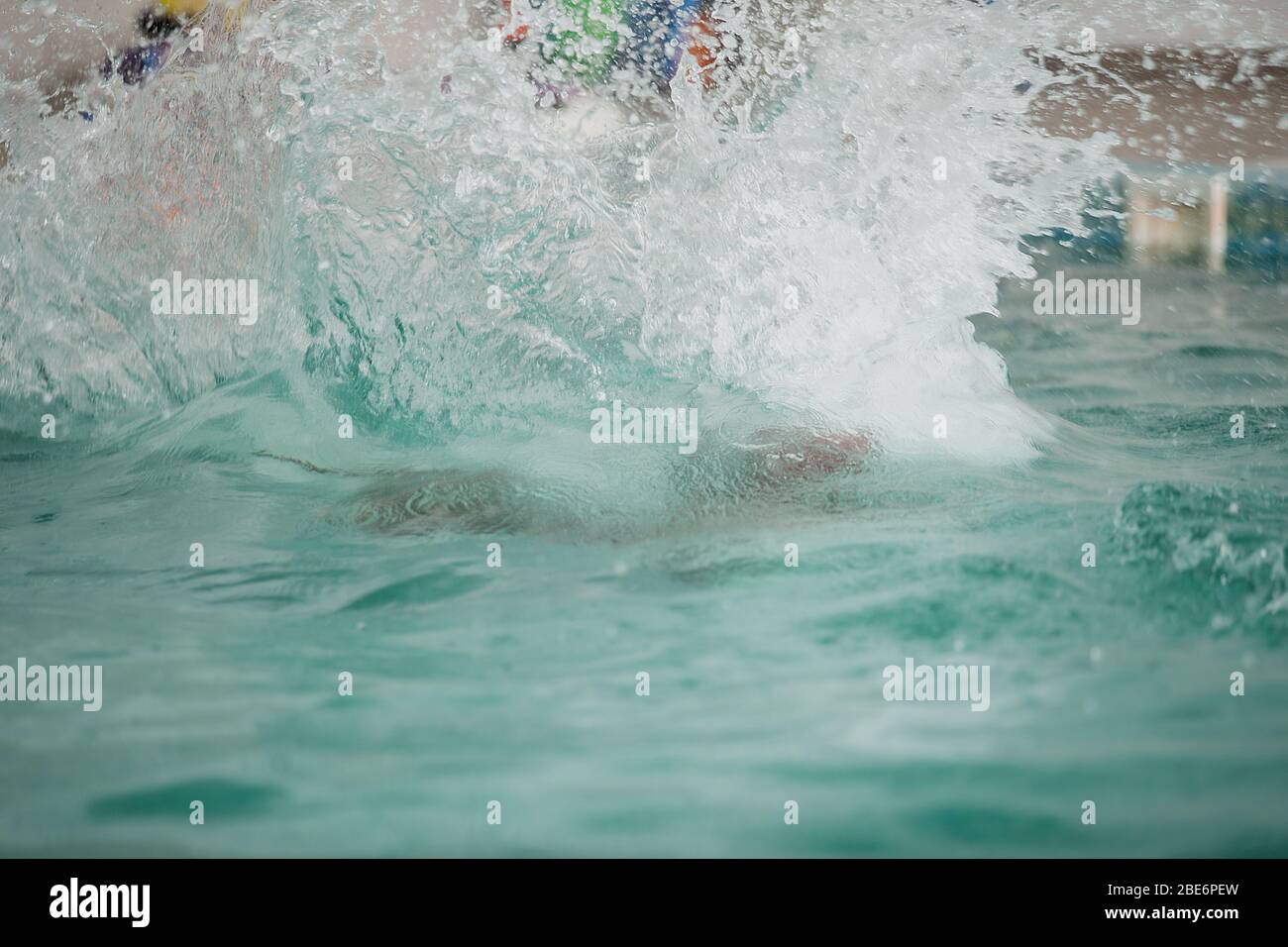 Wasserspritzer von der Hundelandung im Pool Stockfoto