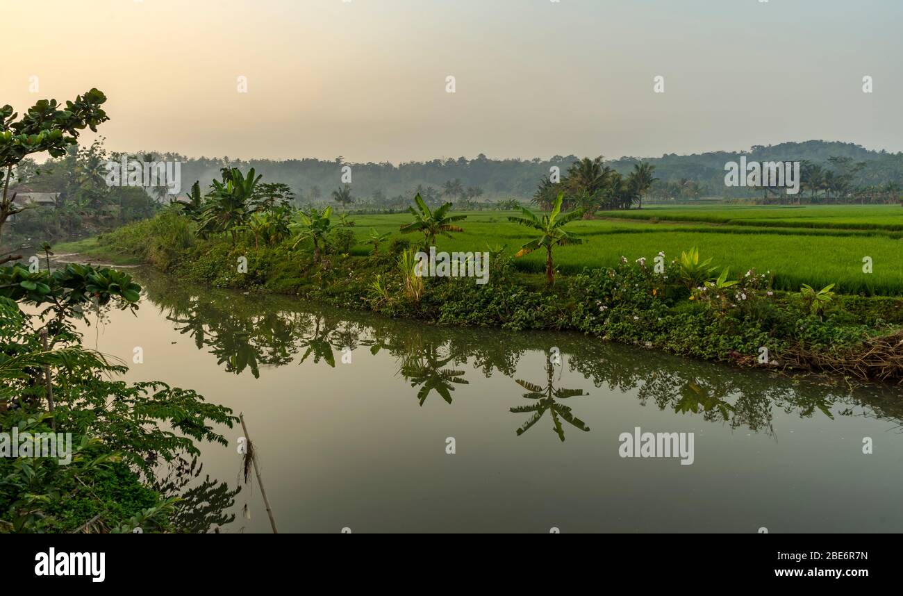 Sawarna Dorf Szene mit Fluss, Farmland, Palmen und grauen Himmel bei bewölktem Sonnenaufgang mit Dunst am frühen Morgen in Banten, Java, Indonesien aufgenommen Stockfoto